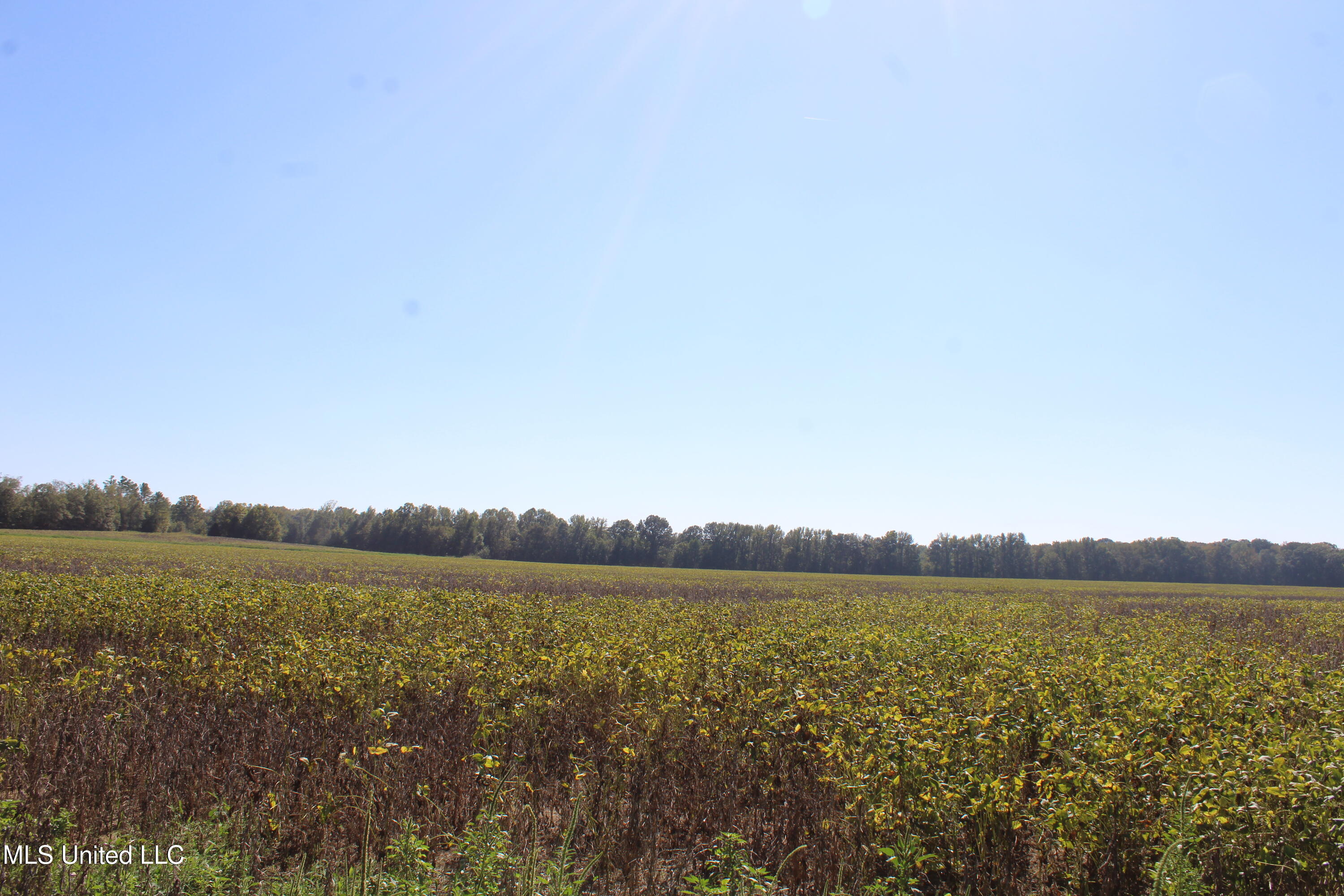 0 Red Banks Road Property Photo 19