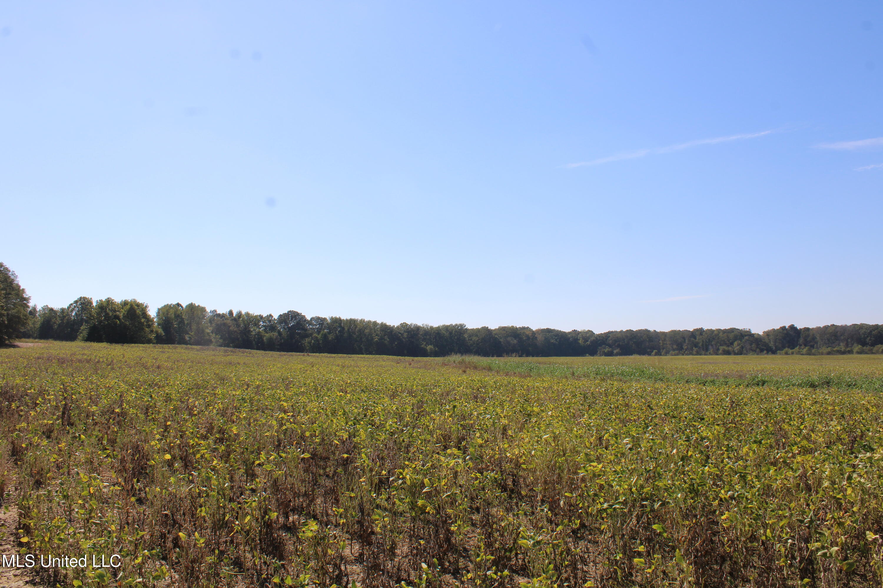 0 Red Banks Road Property Photo 20