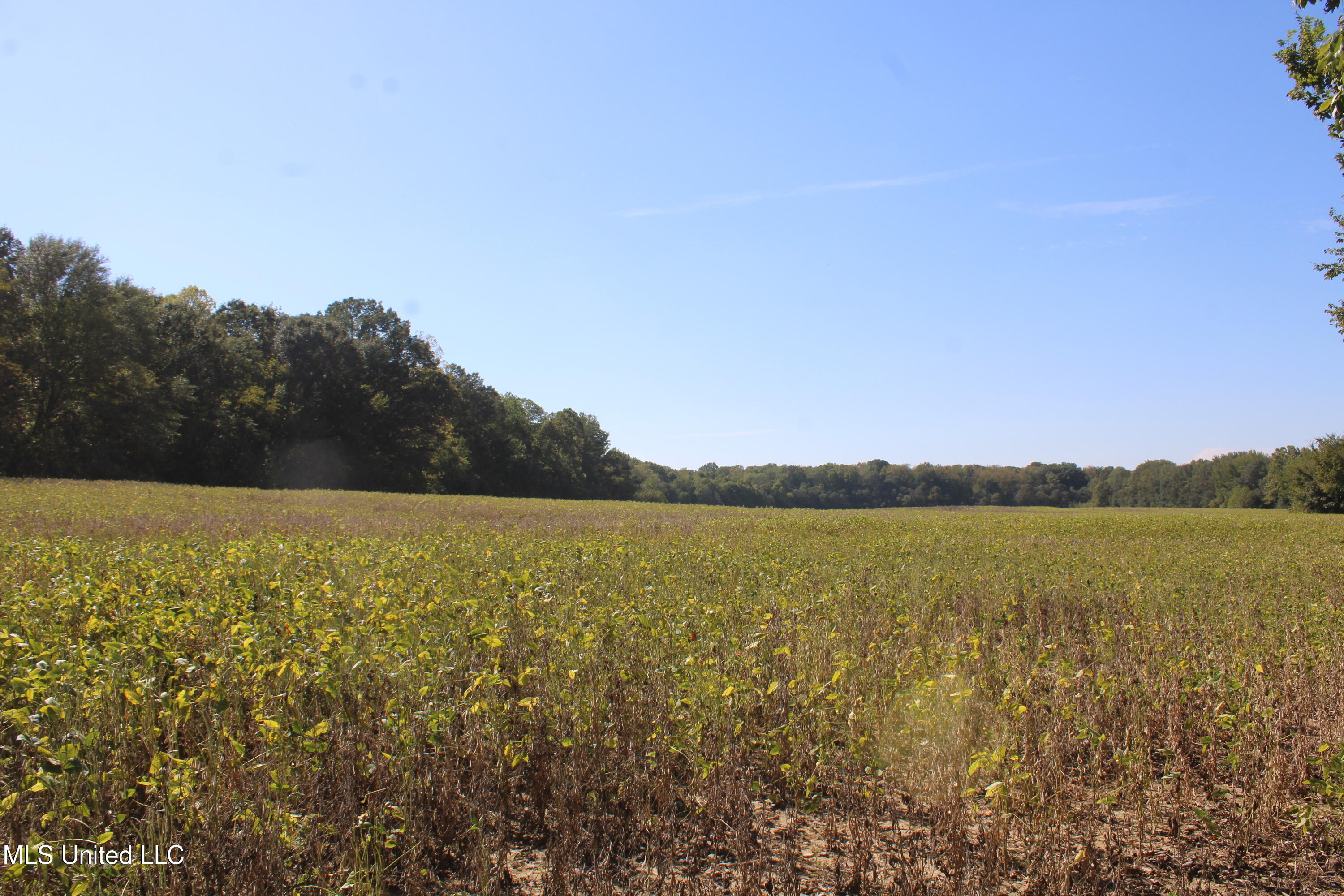 0 Red Banks Road Property Photo 23