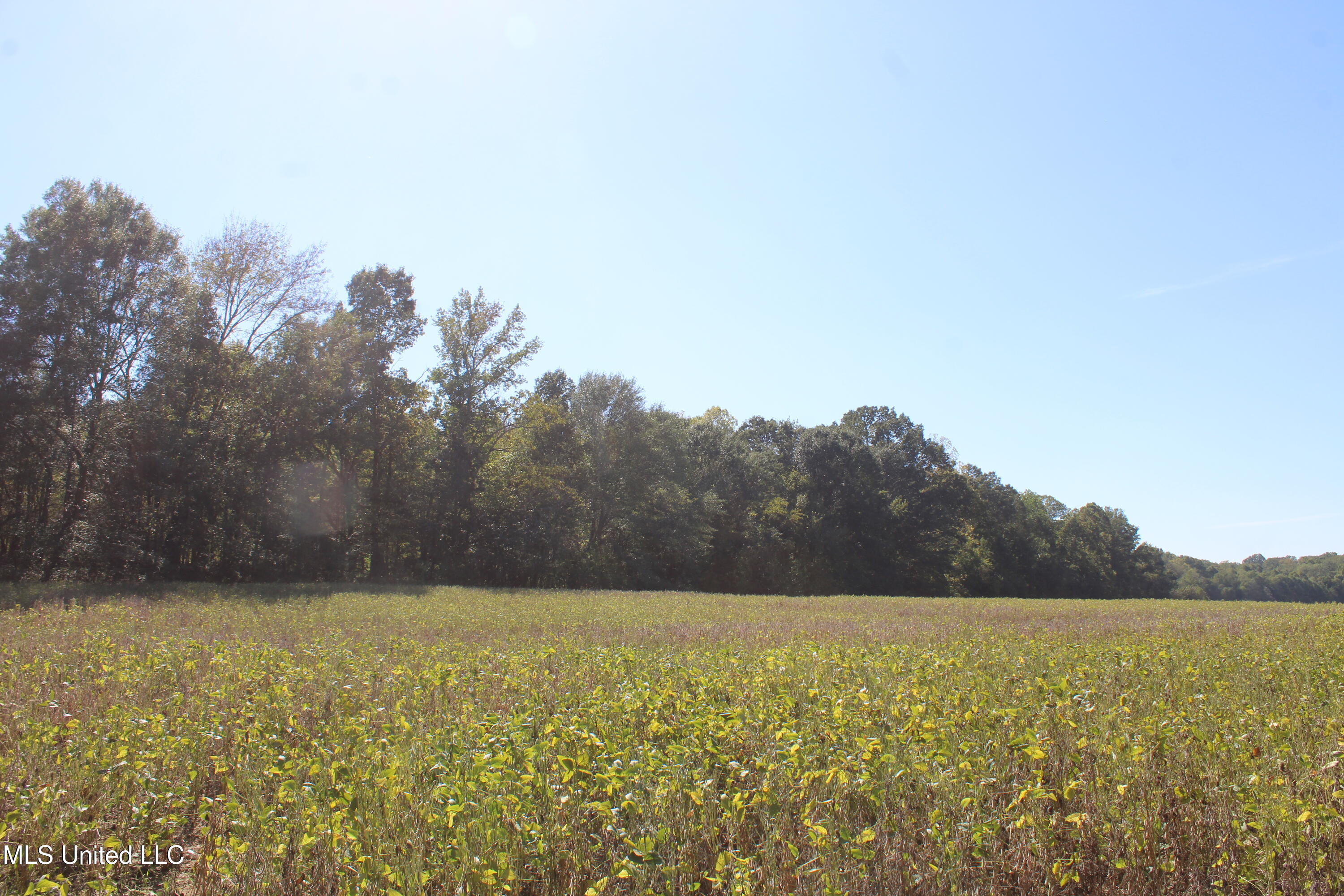 0 Red Banks Road Property Photo 24