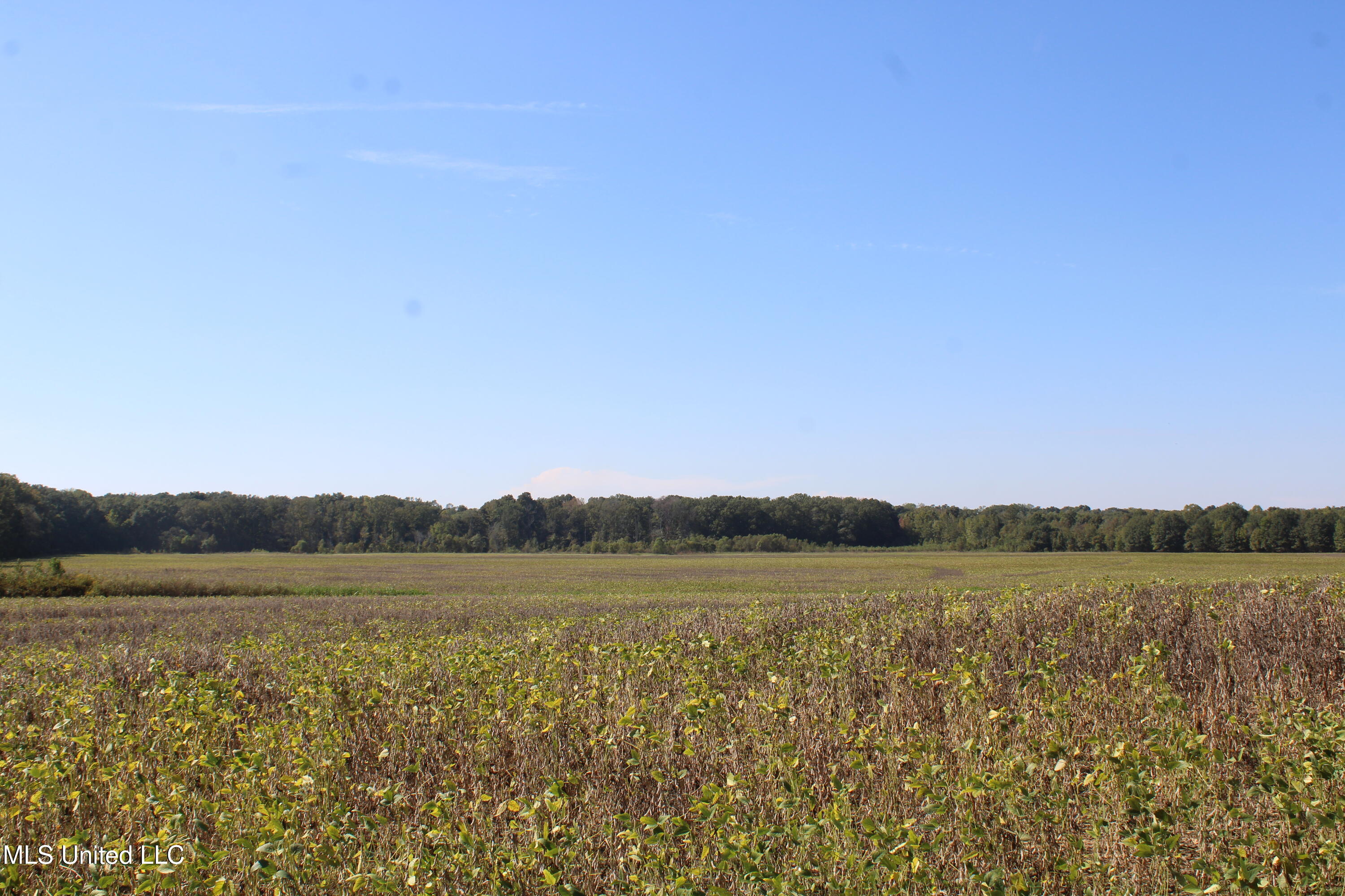 0 Red Banks Road Property Photo 25