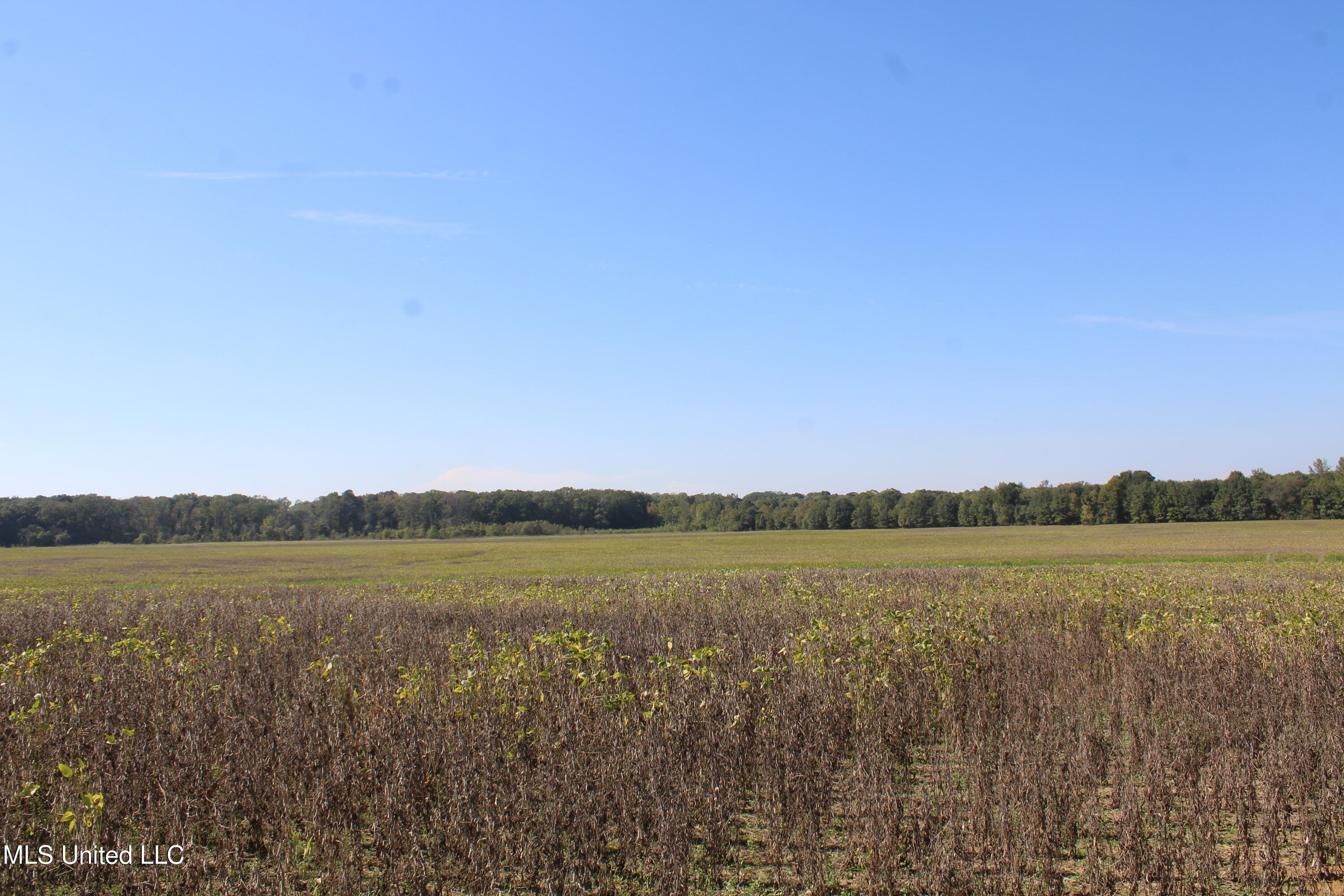 0 Red Banks Road Property Photo 26