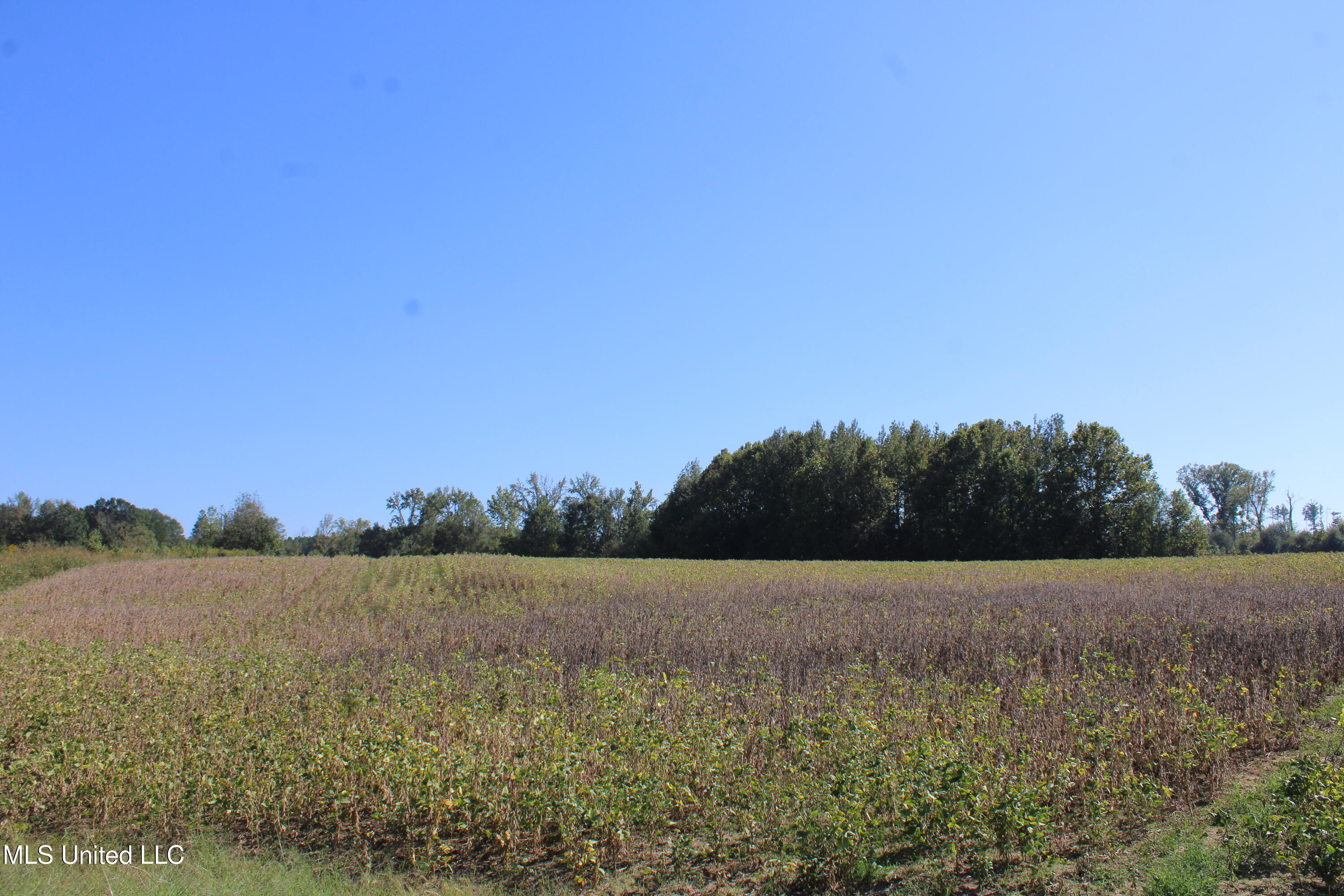 0 Red Banks Road Property Photo 27