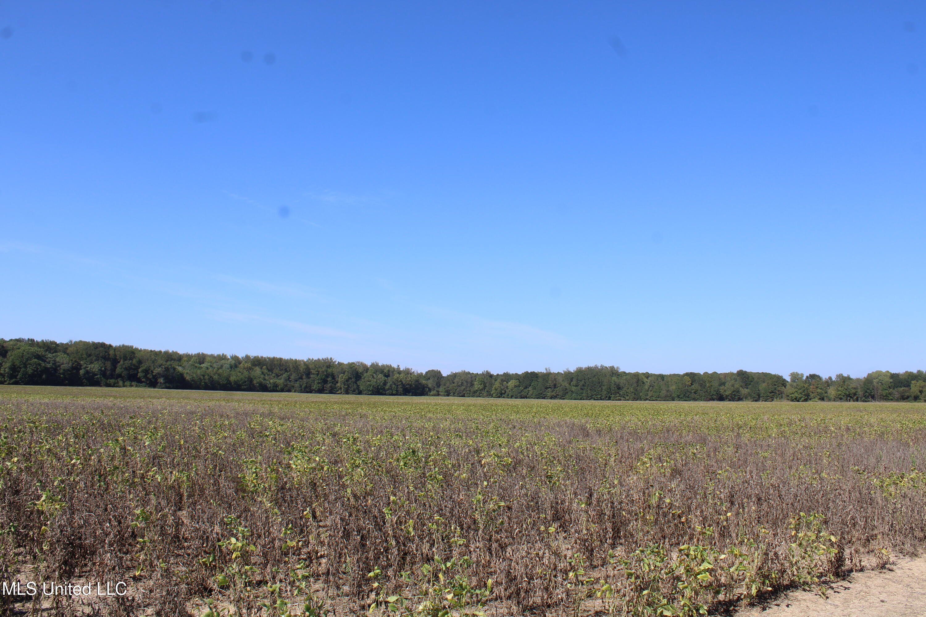 0 Red Banks Road Property Photo 28