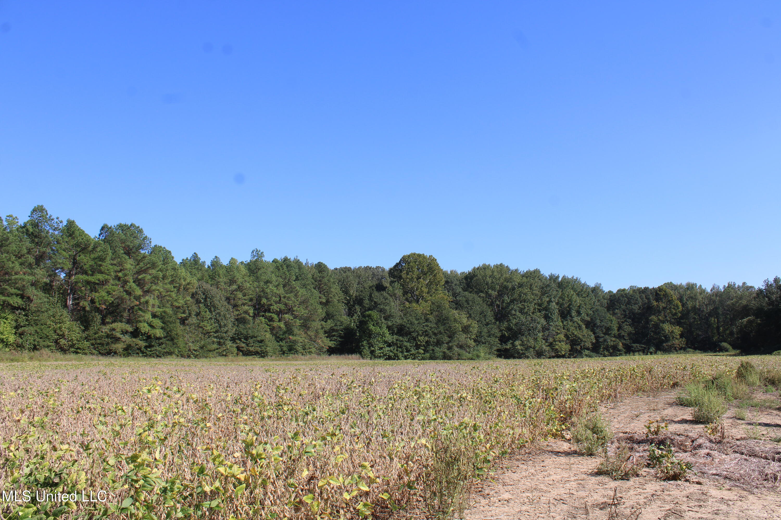 0 Red Banks Road Property Photo 30