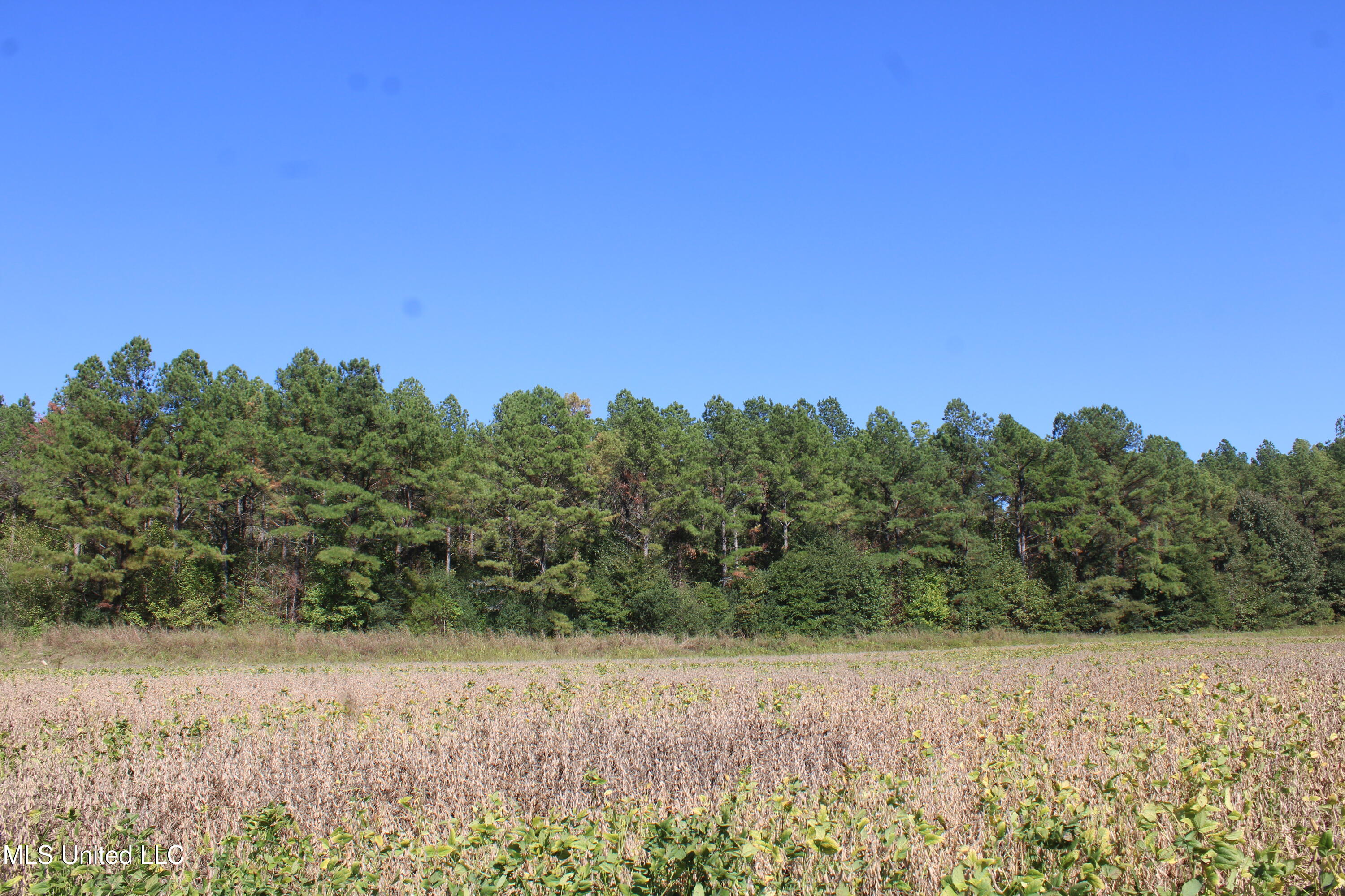 0 Red Banks Road Property Photo 31