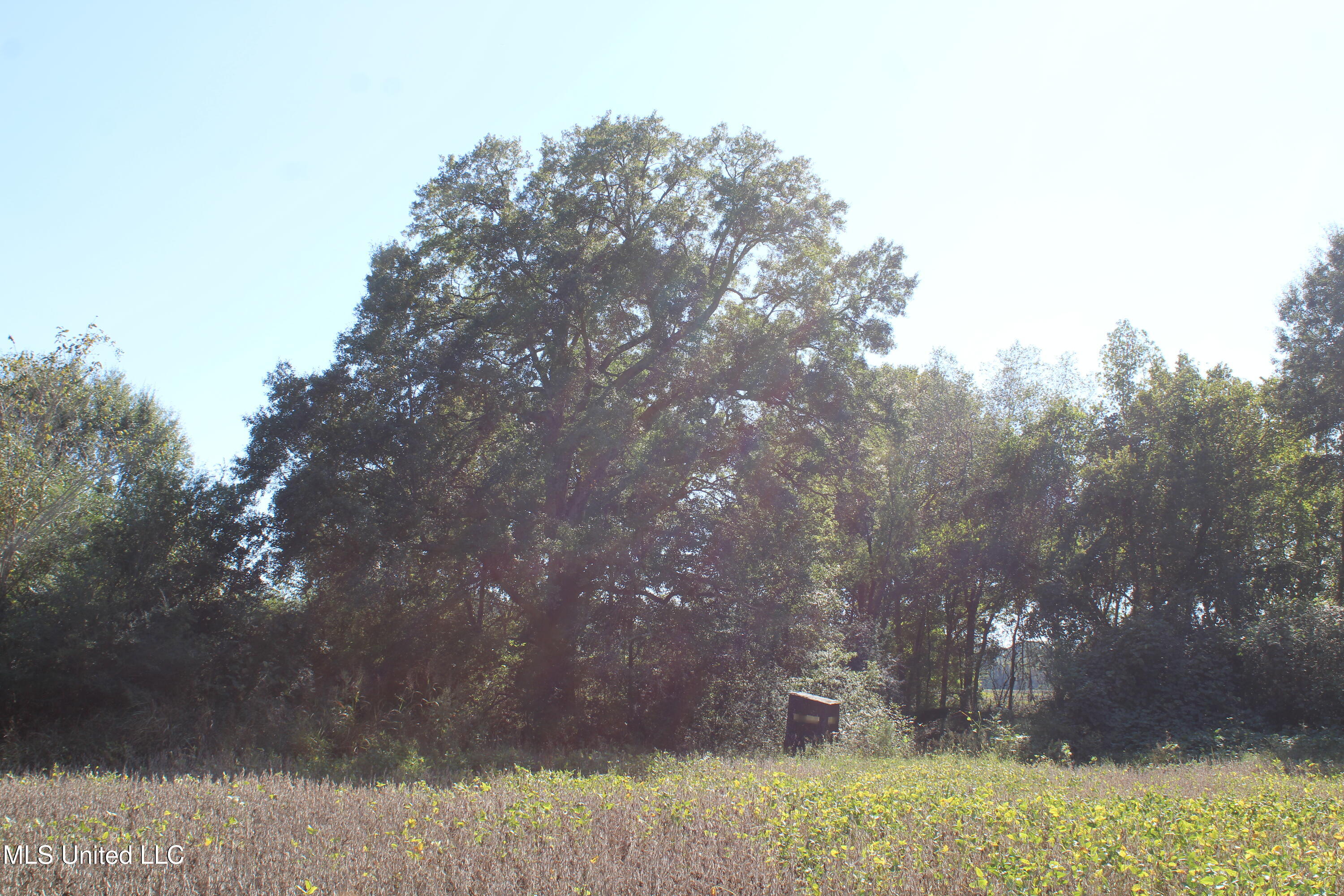 0 Red Banks Road Property Photo 32