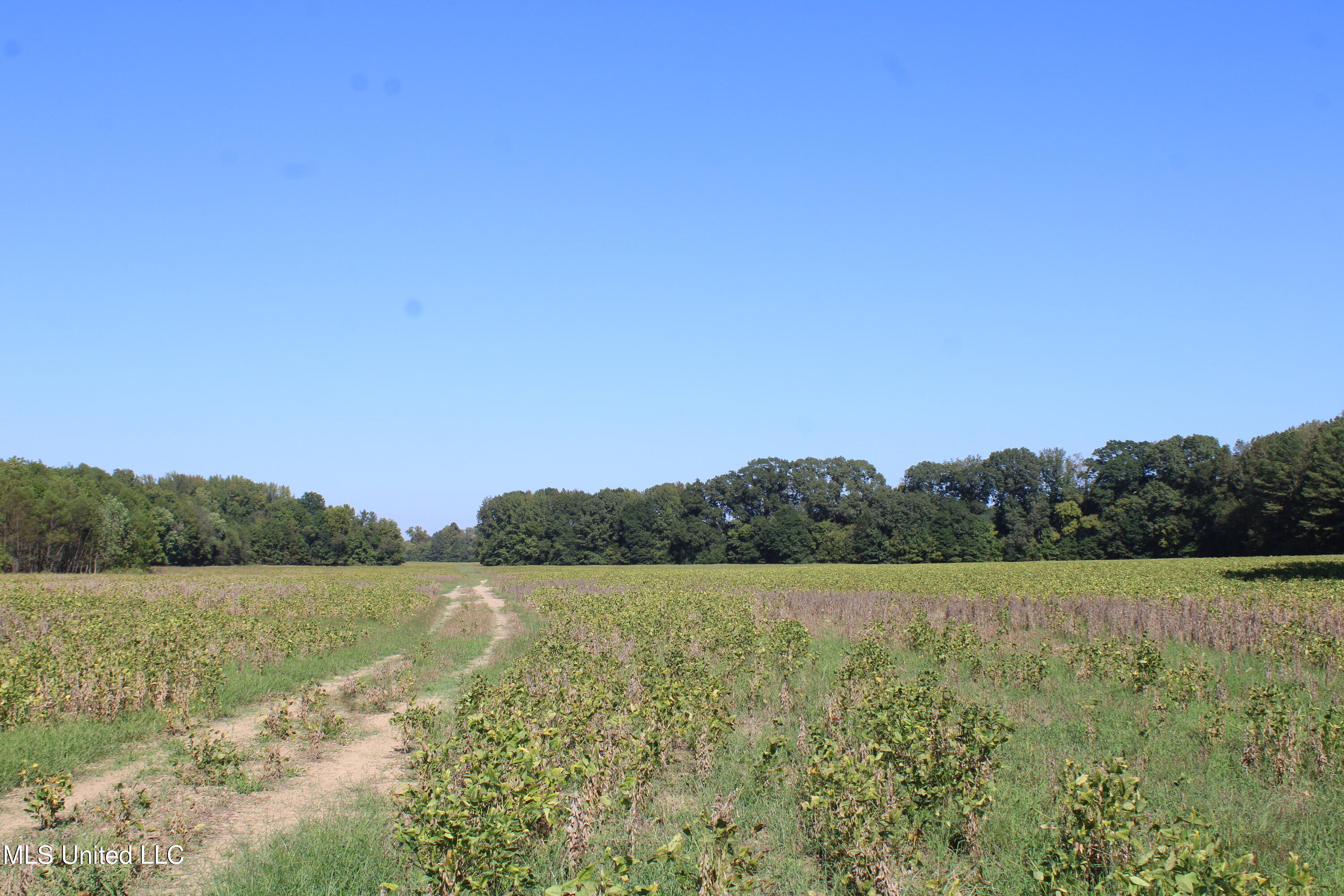 0 Red Banks Road Property Photo 33