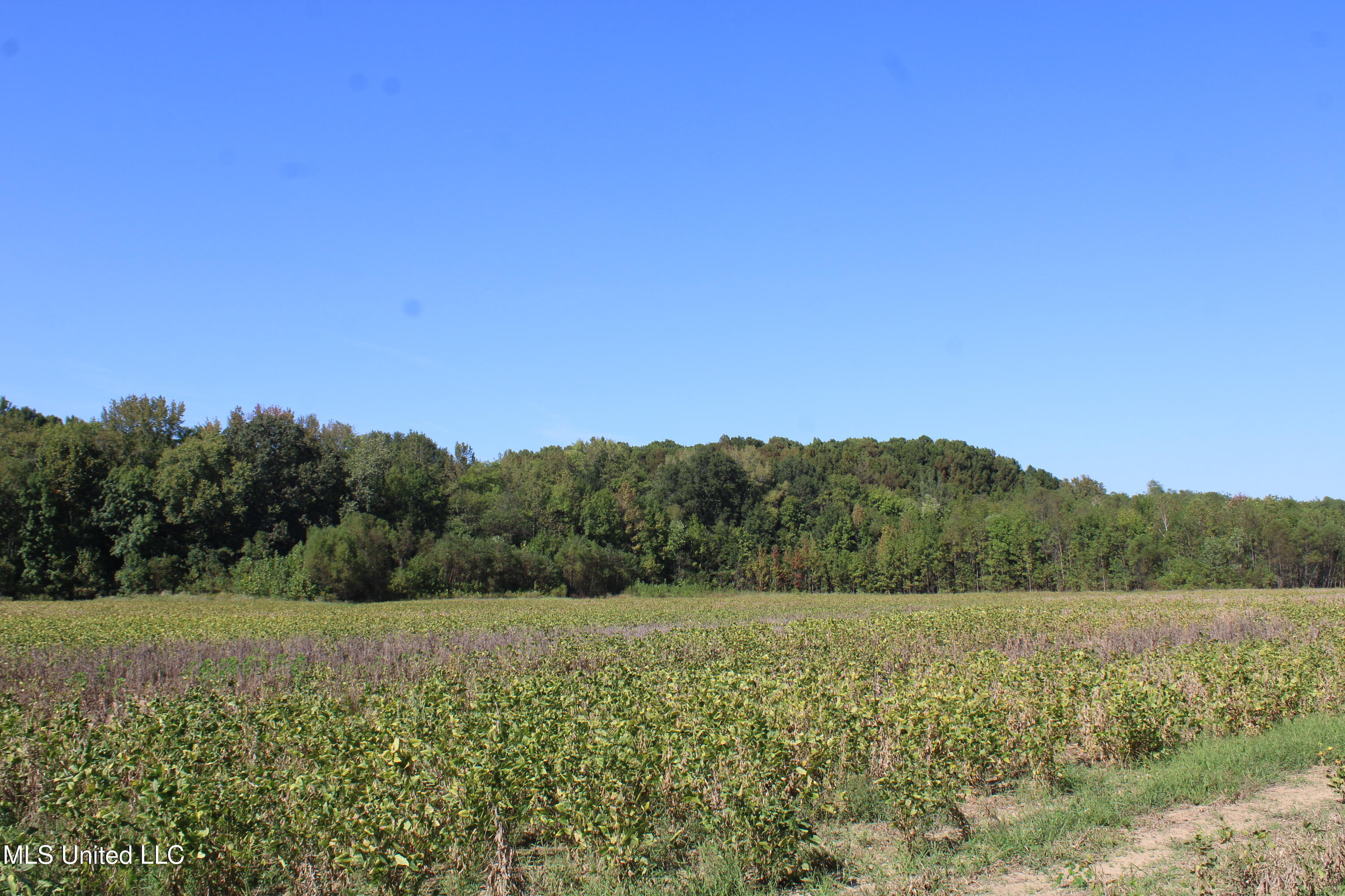 0 Red Banks Road Property Photo 34