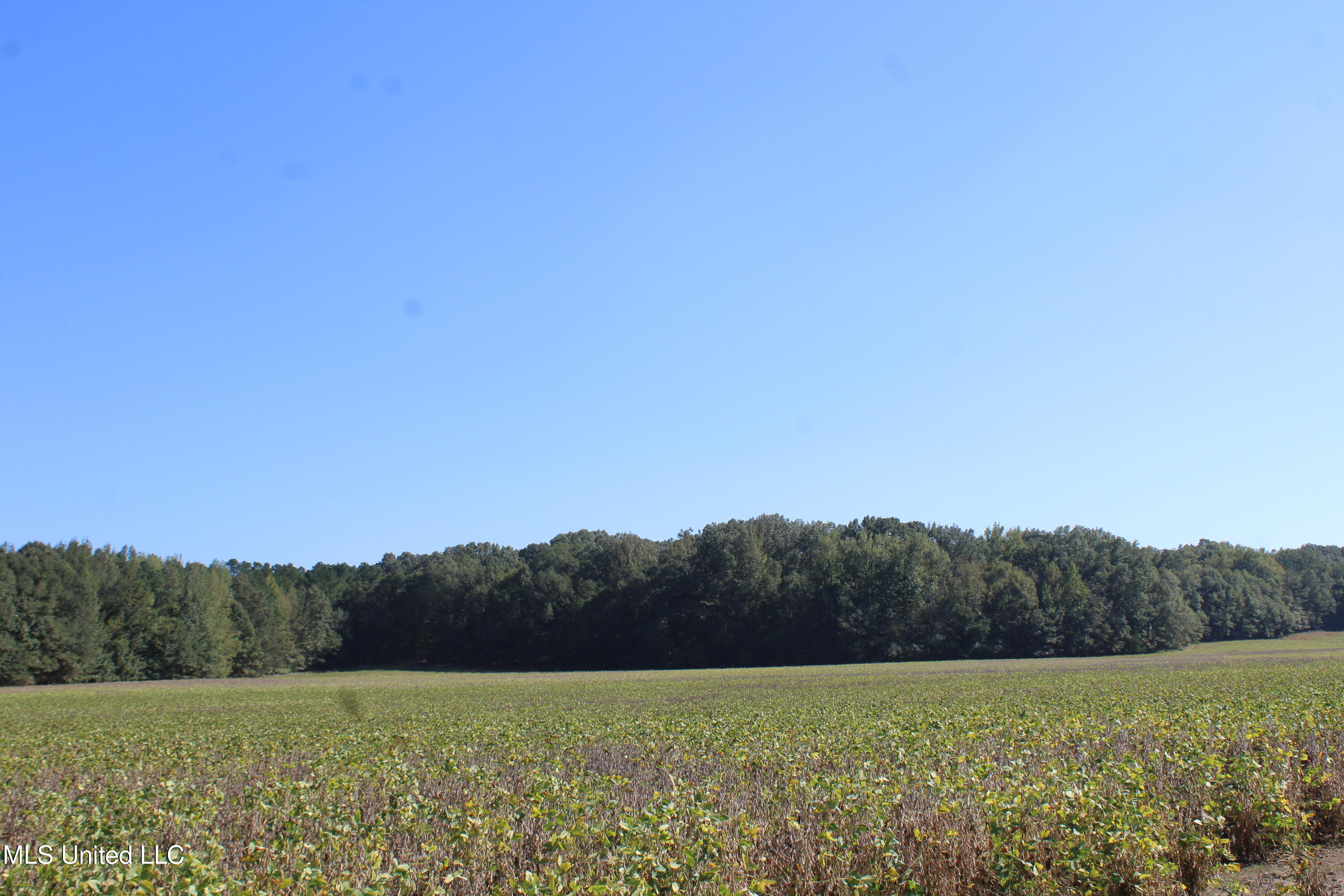 0 Red Banks Road Property Photo 35