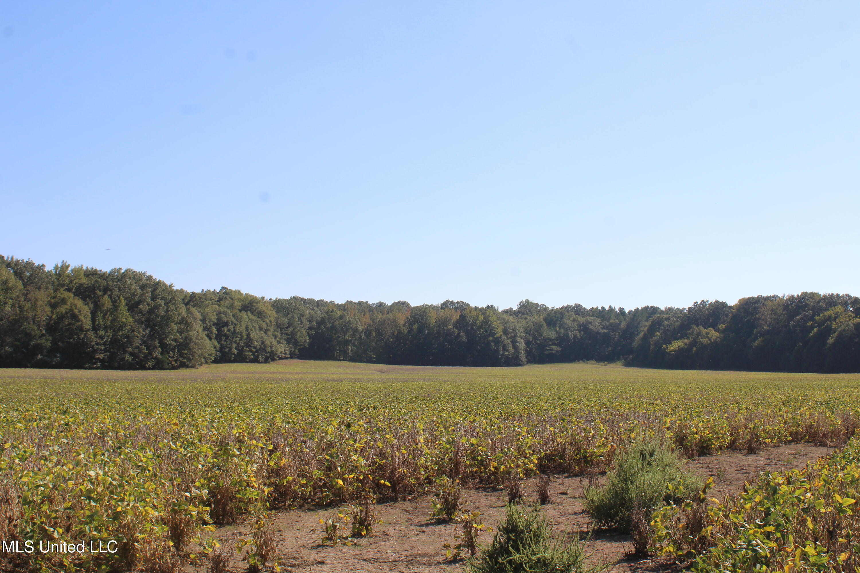 0 Red Banks Road Property Photo 36