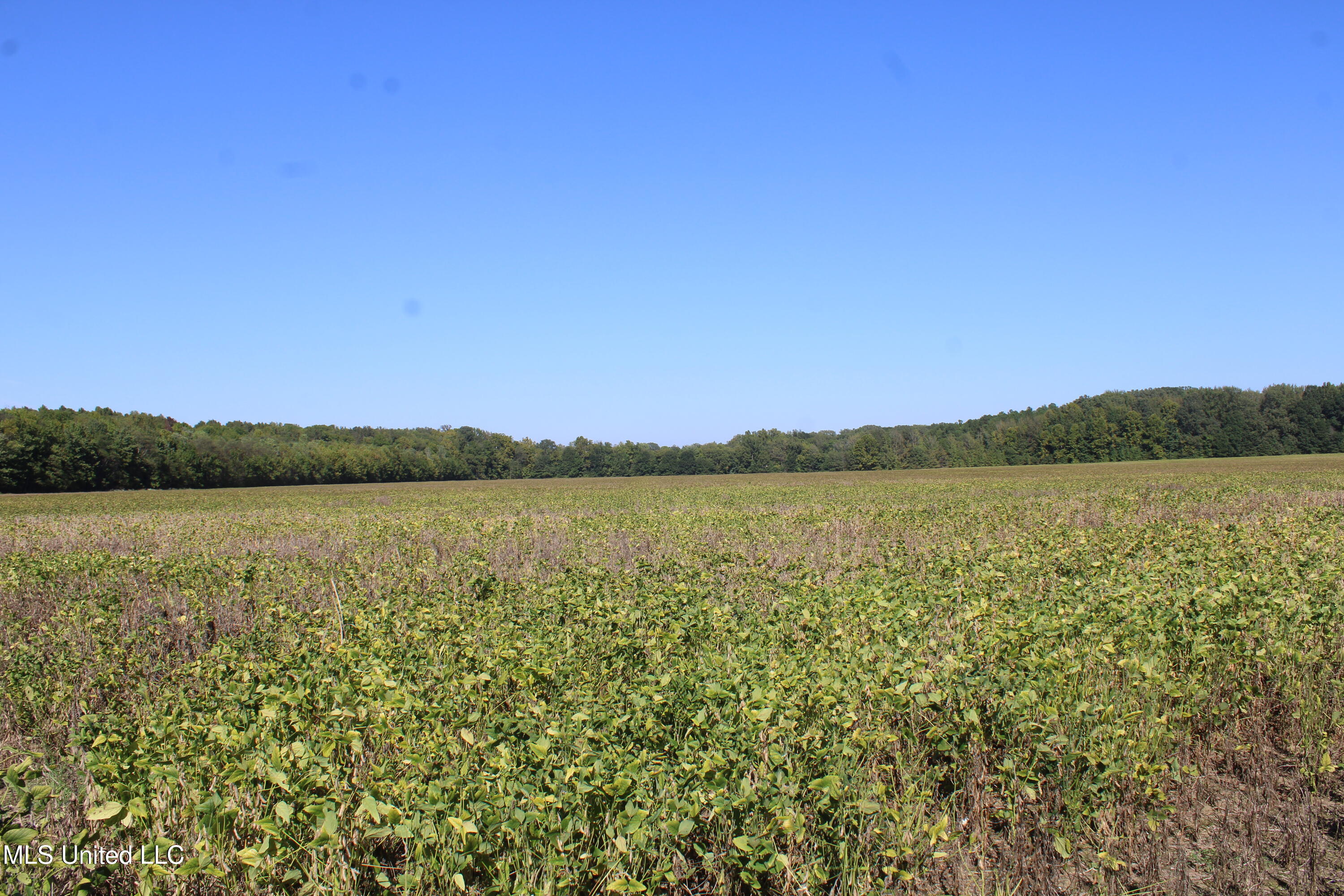 0 Red Banks Road Property Photo 37