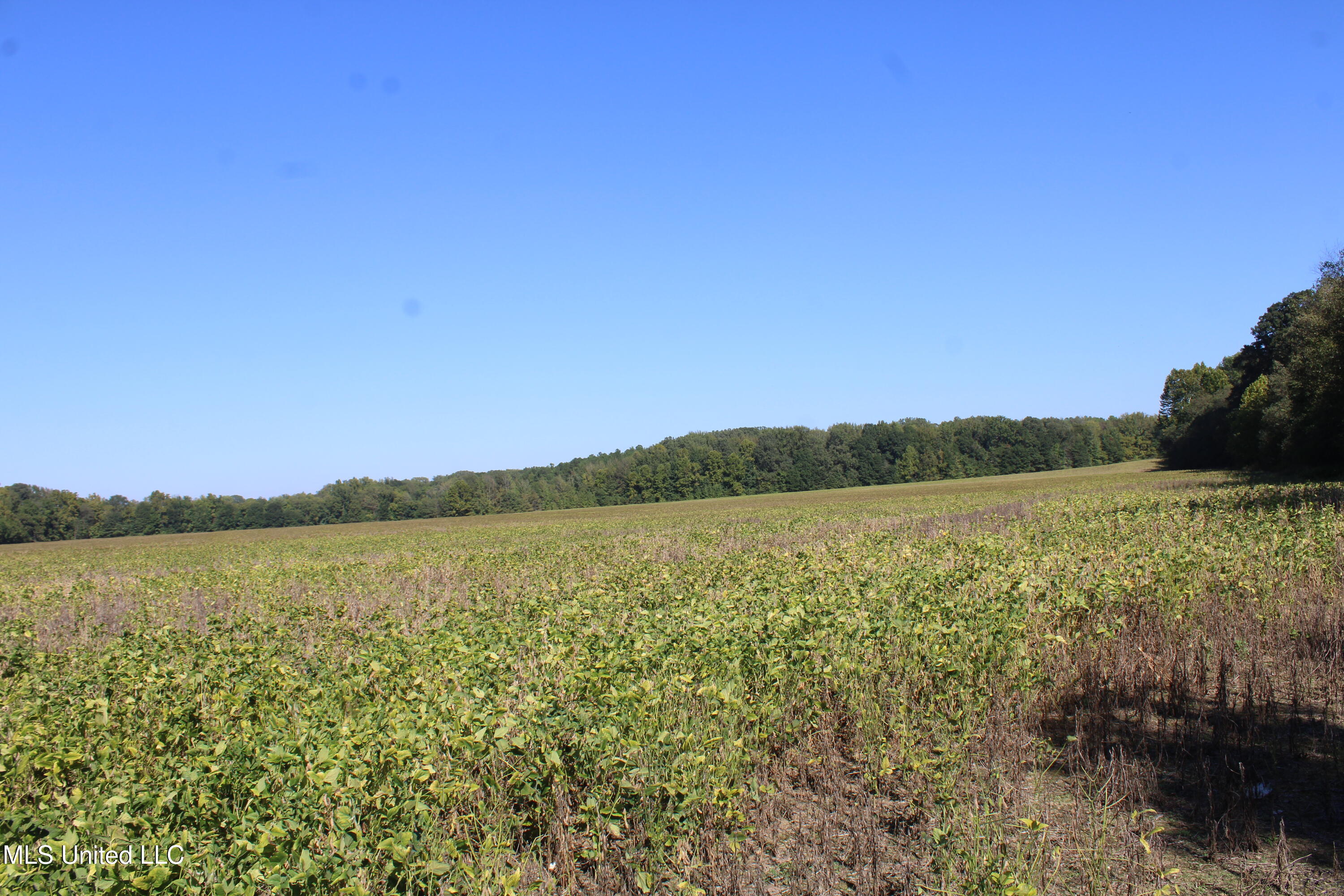 0 Red Banks Road Property Photo 38