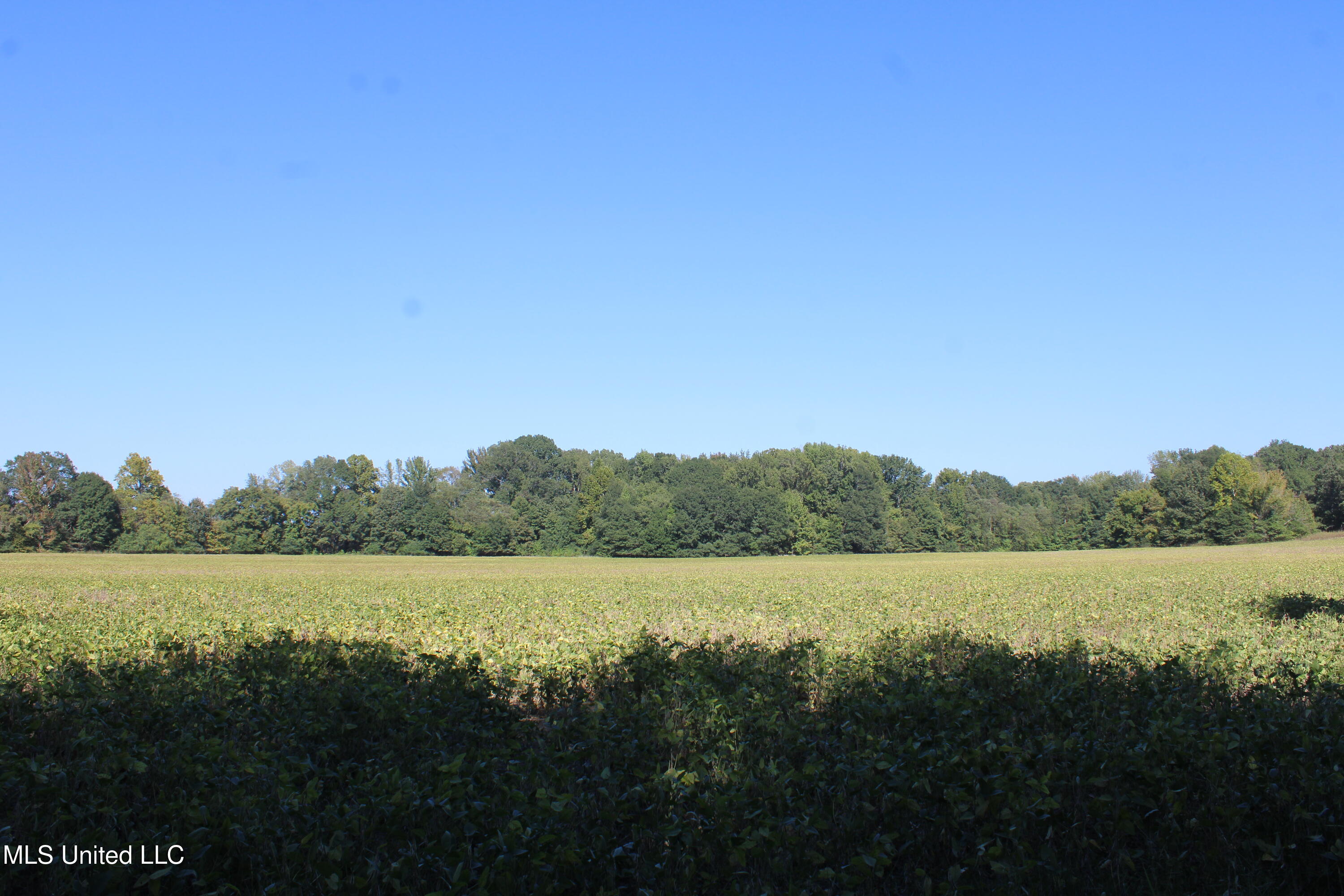 0 Red Banks Road Property Photo 39