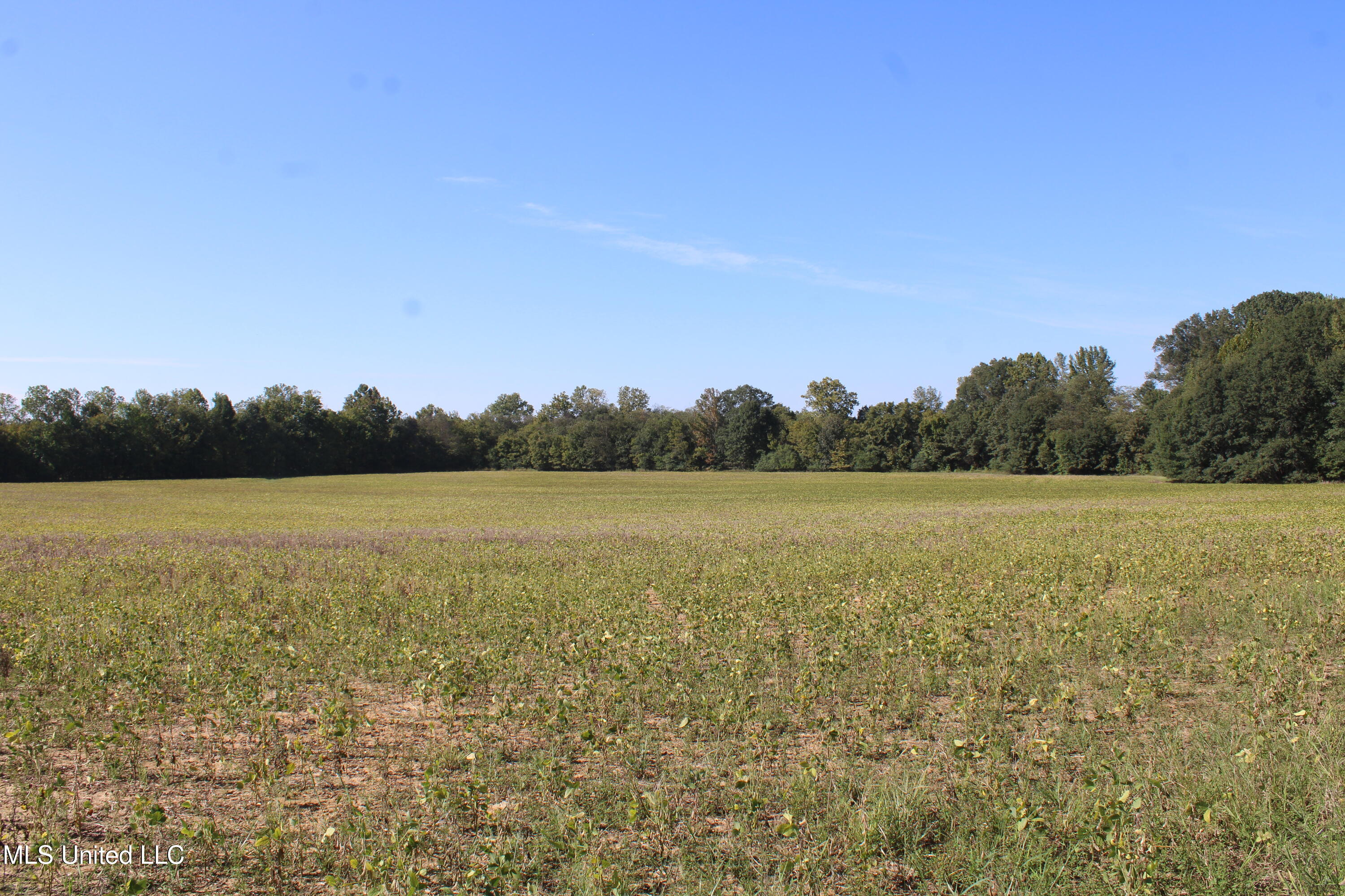 0 Red Banks Road Property Photo 40