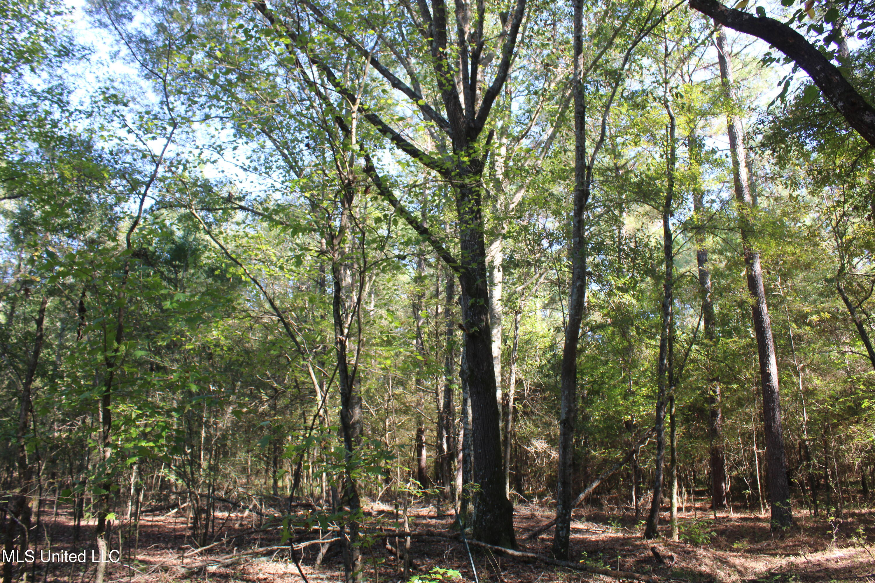 0 Red Banks Road Property Photo 41