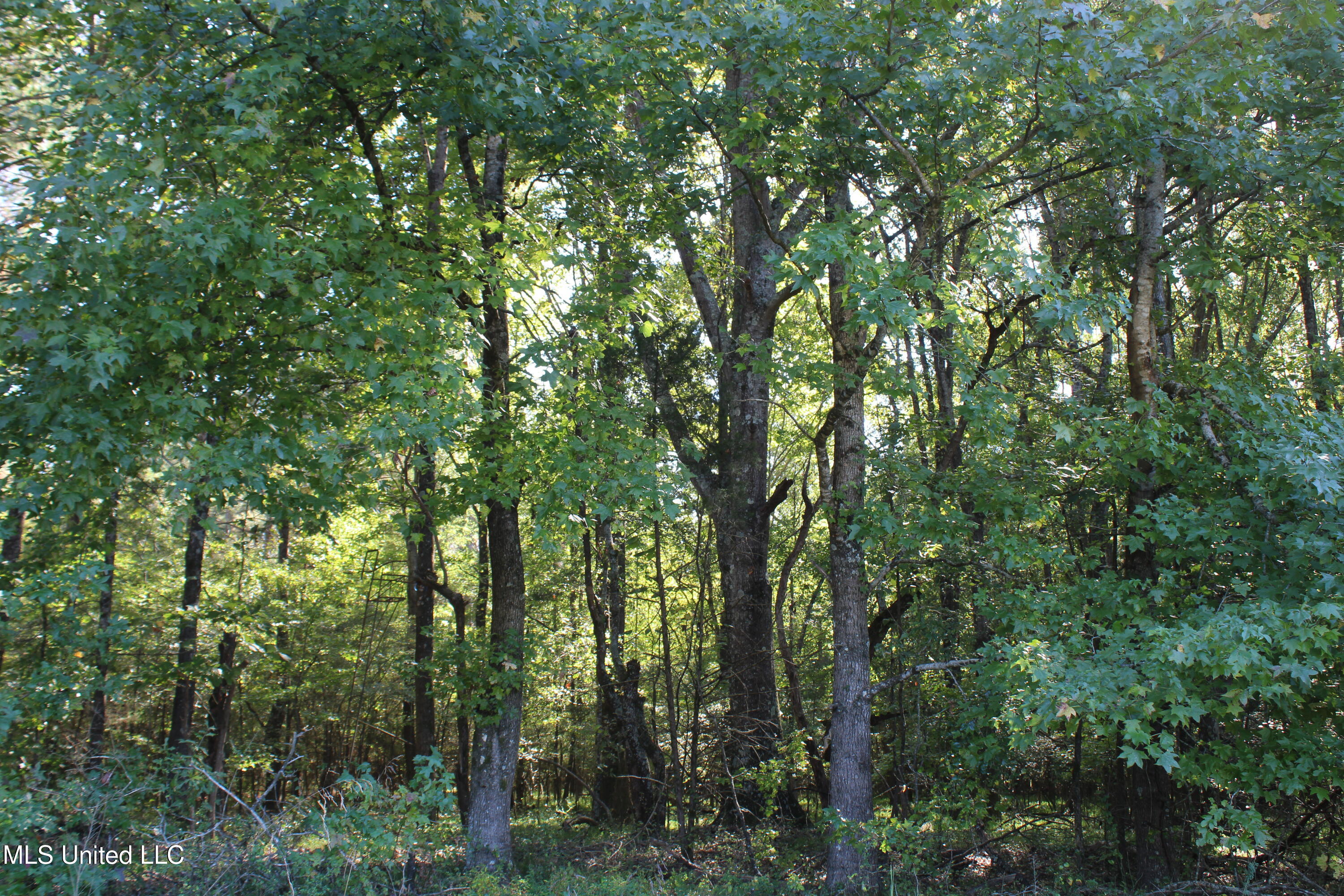 0 Red Banks Road Property Photo 42