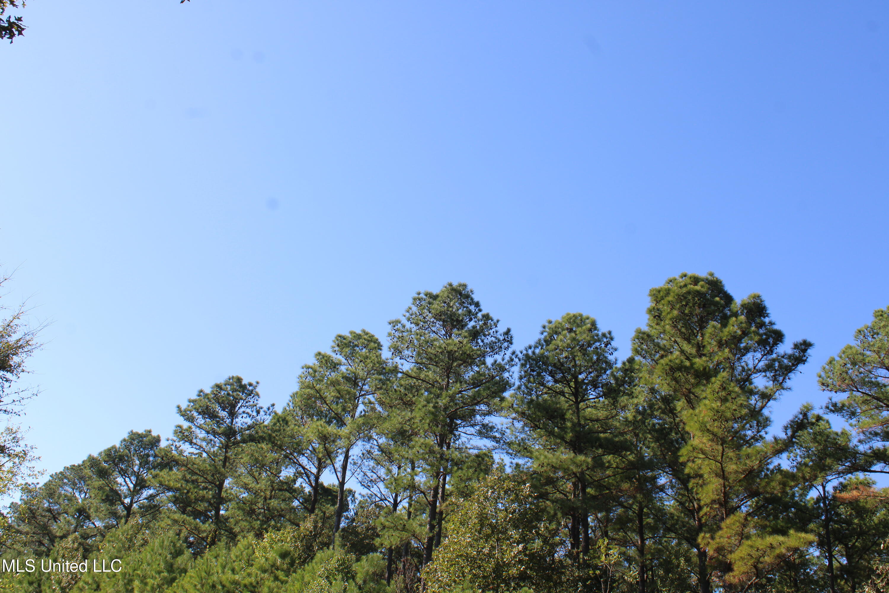 0 Red Banks Road Property Photo 43