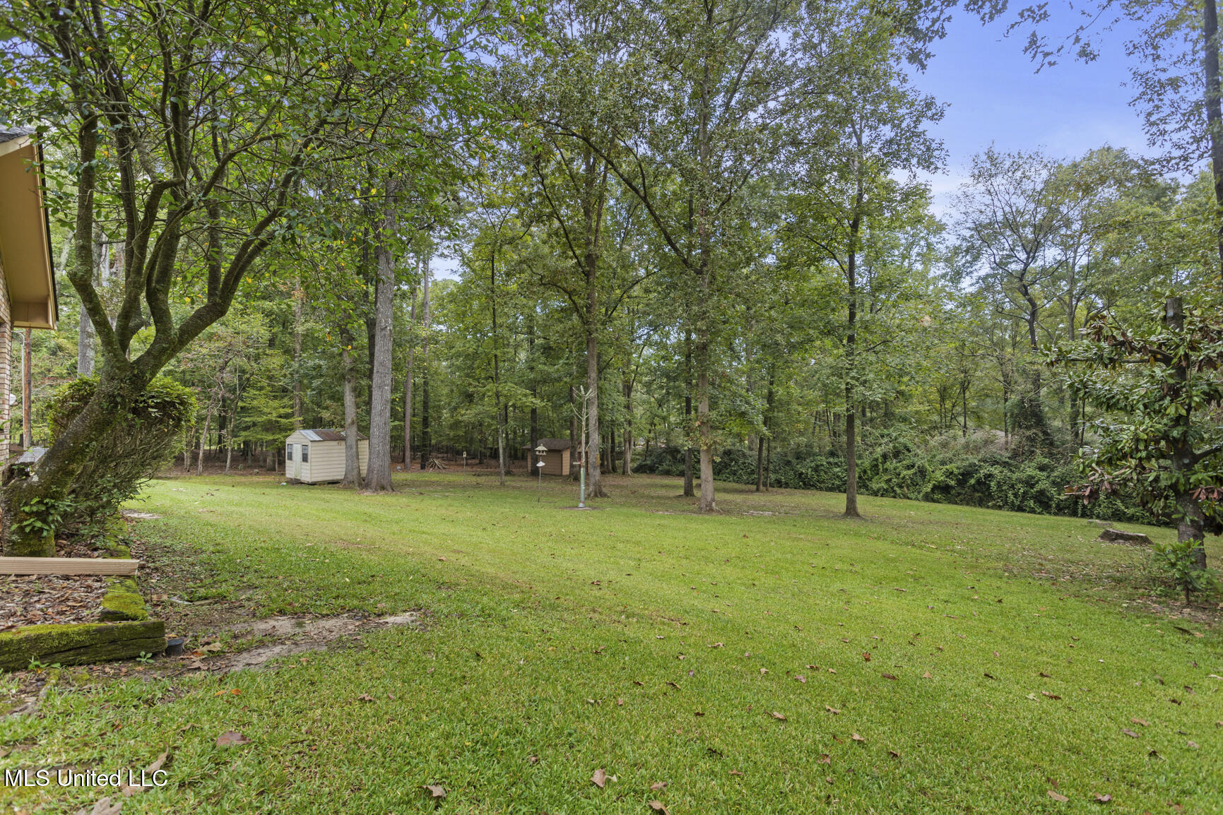 6558 Grandview Cove Property Photo 8