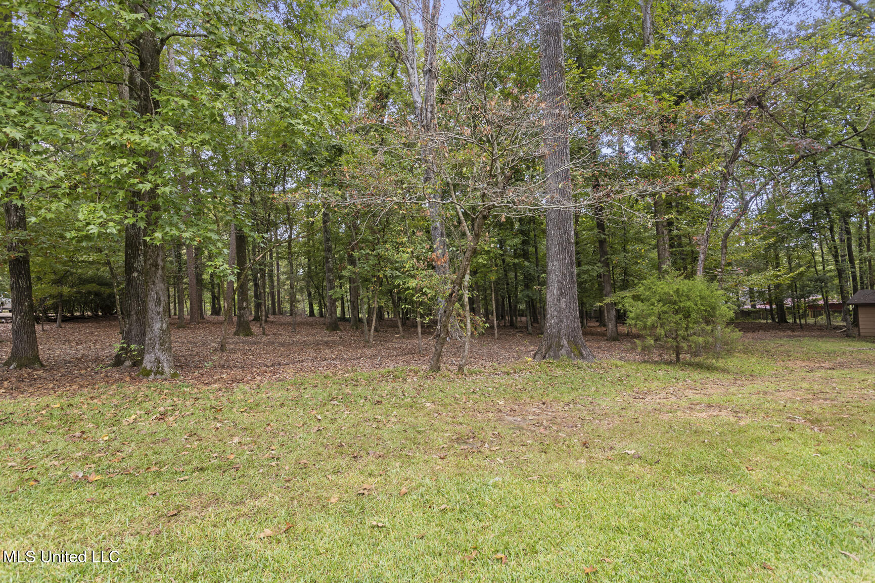 6558 Grandview Cove Property Photo 11