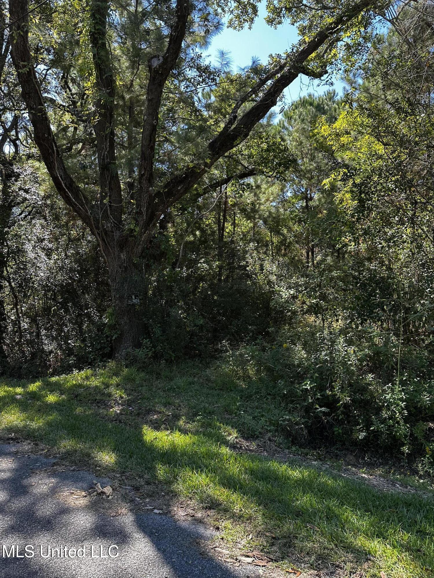 6611 Omaha Street Property Photo 1