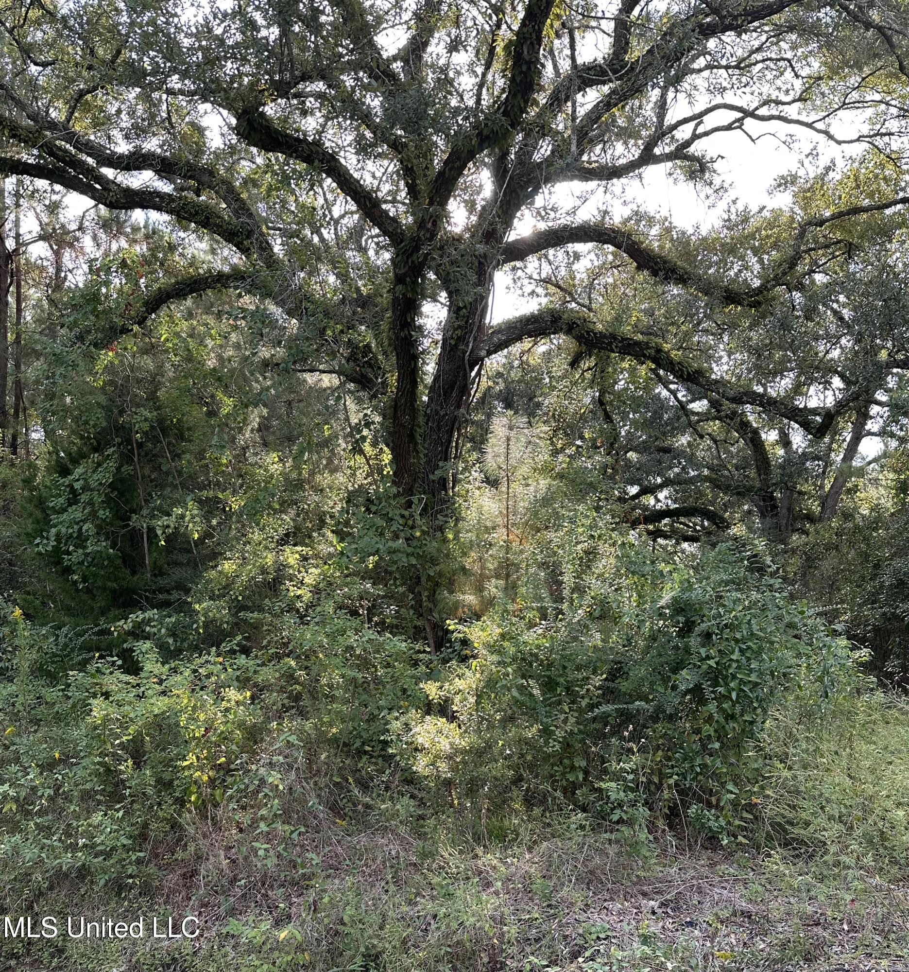 6611 Omaha Street Property Photo 2