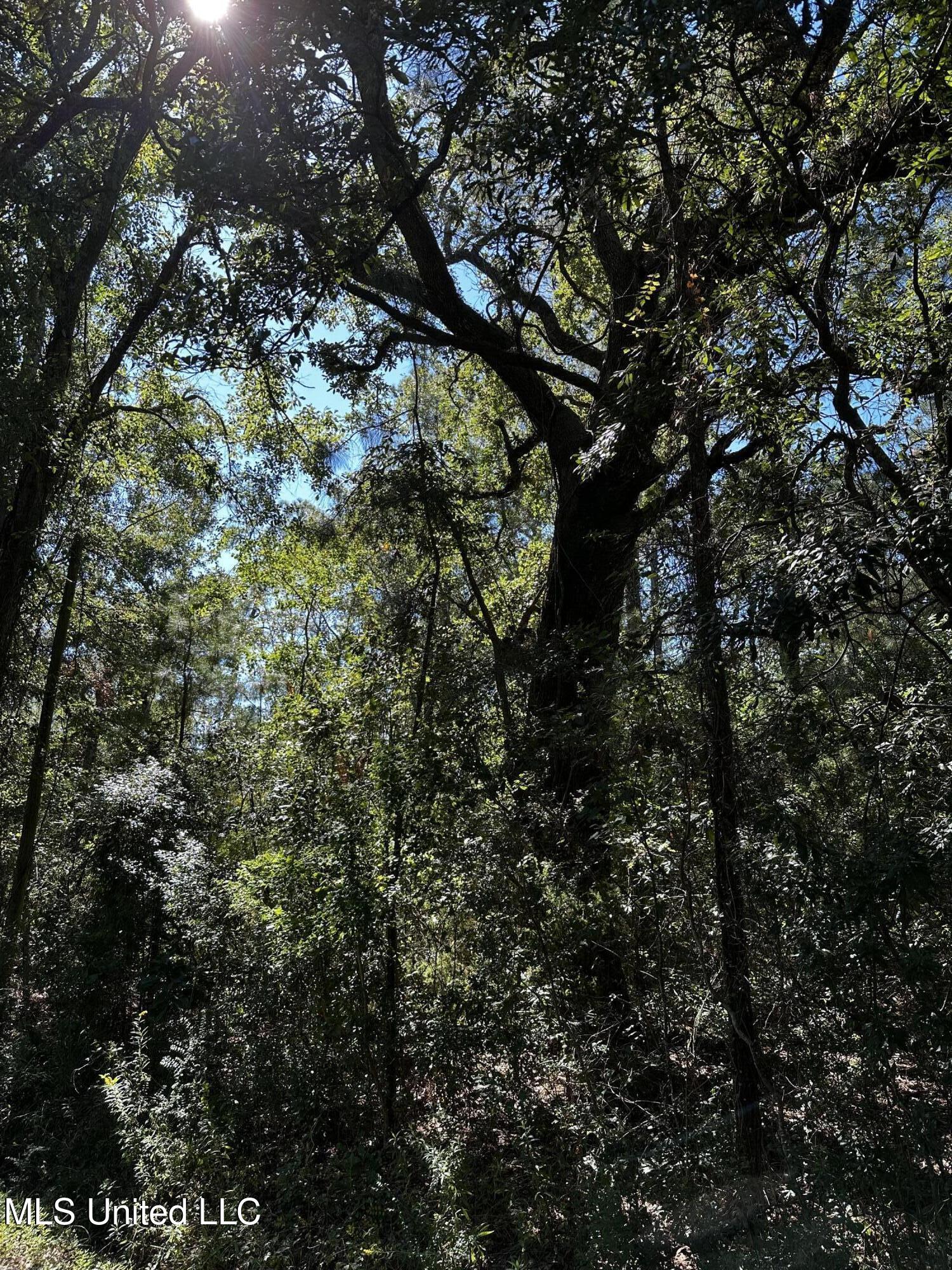 6611 Omaha Street Property Photo 3