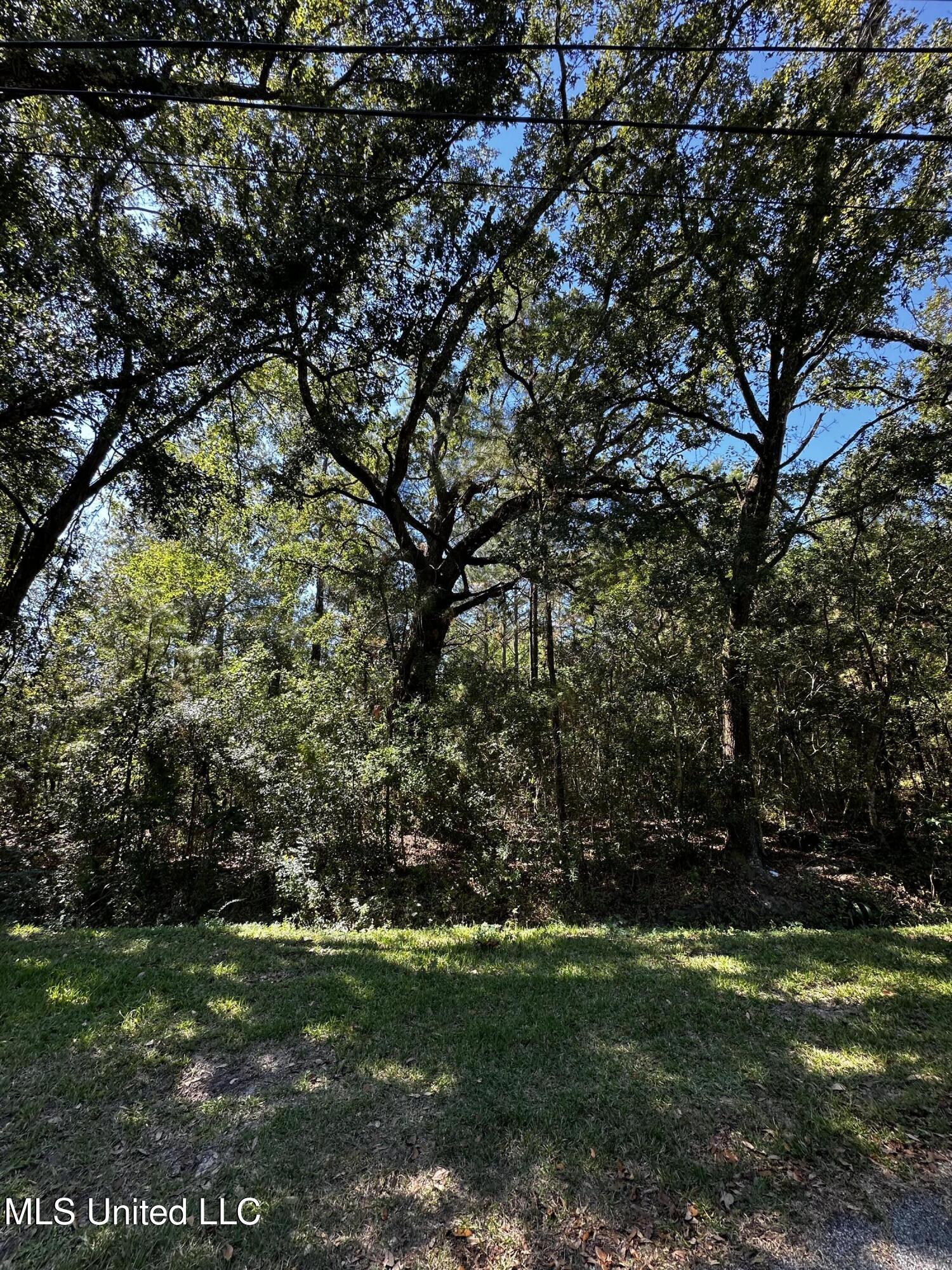 6611 Omaha Street Property Photo 4