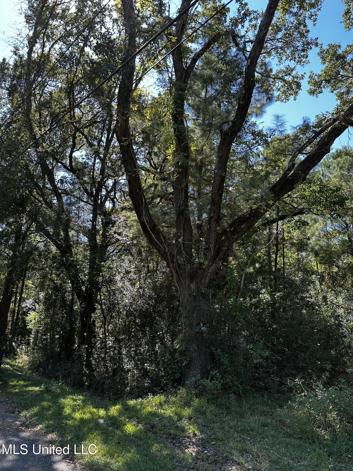 6611 Omaha Street Property Photo 5