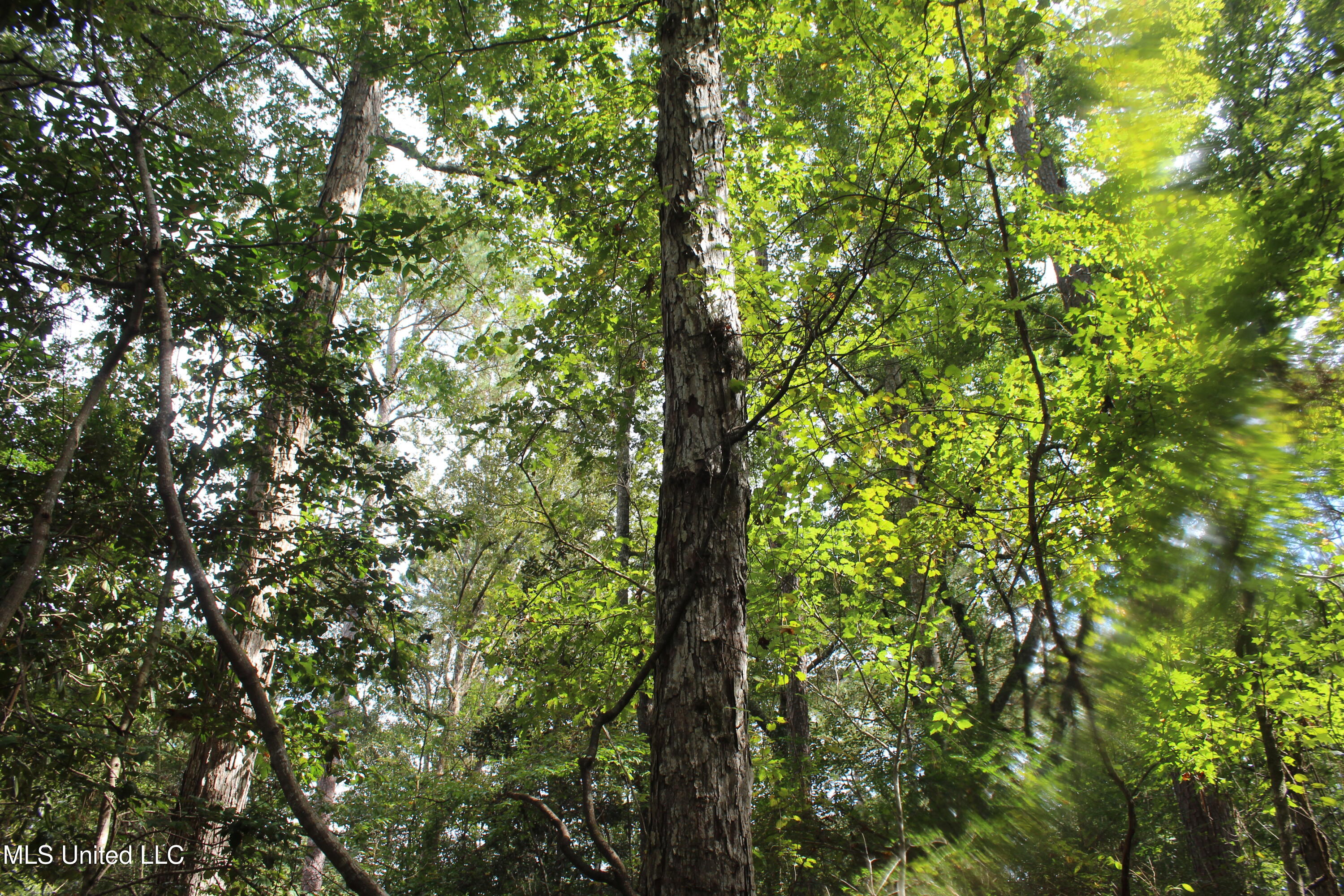 Tbd Fox Road Property Photo 3