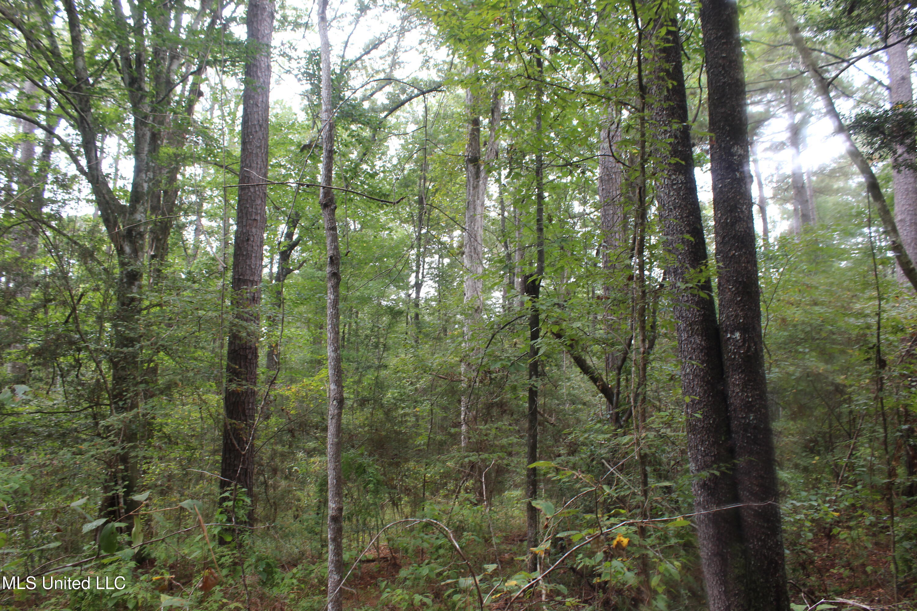 Tbd Fox Road Property Photo 3