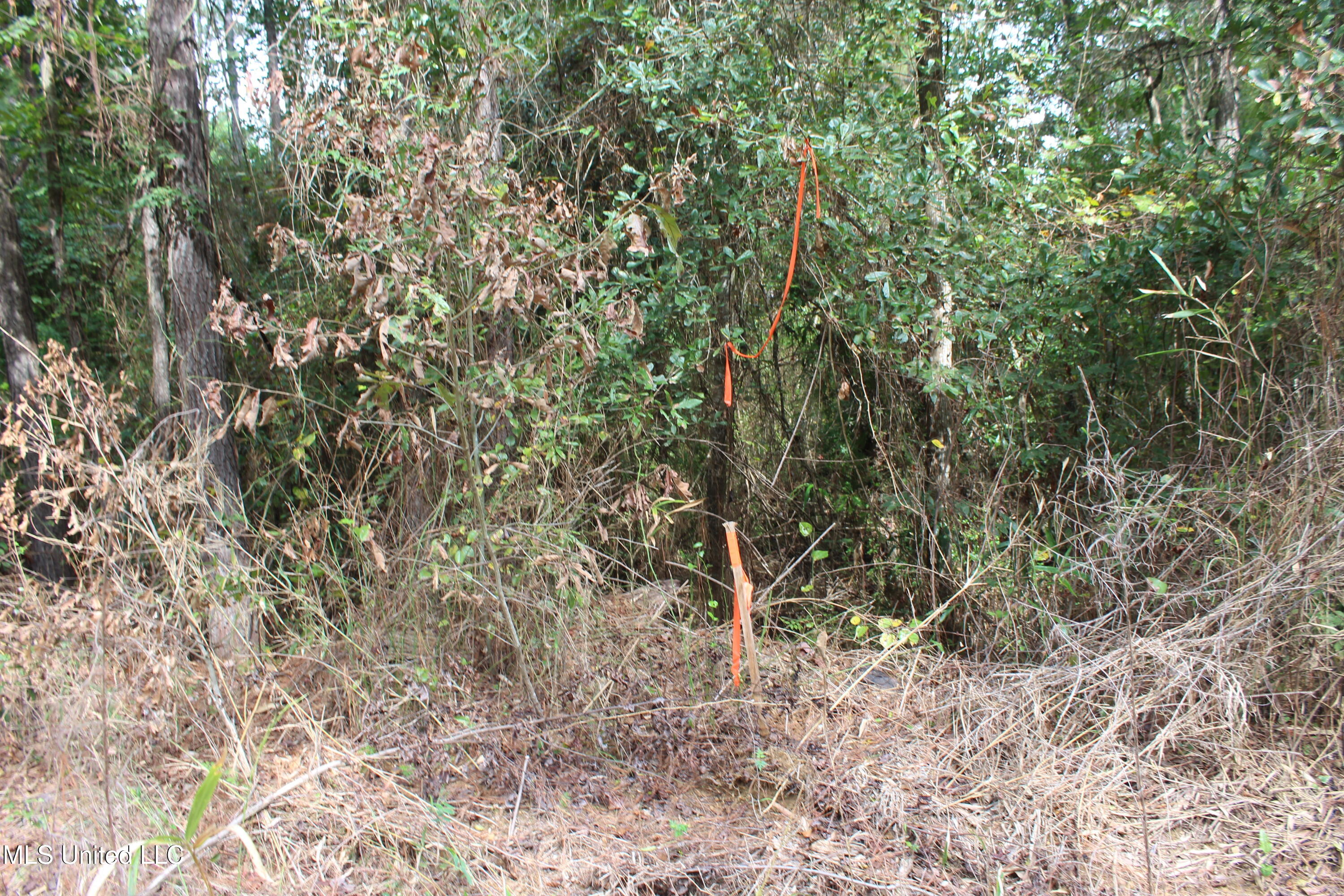 Tbd Fox Road Property Photo 5