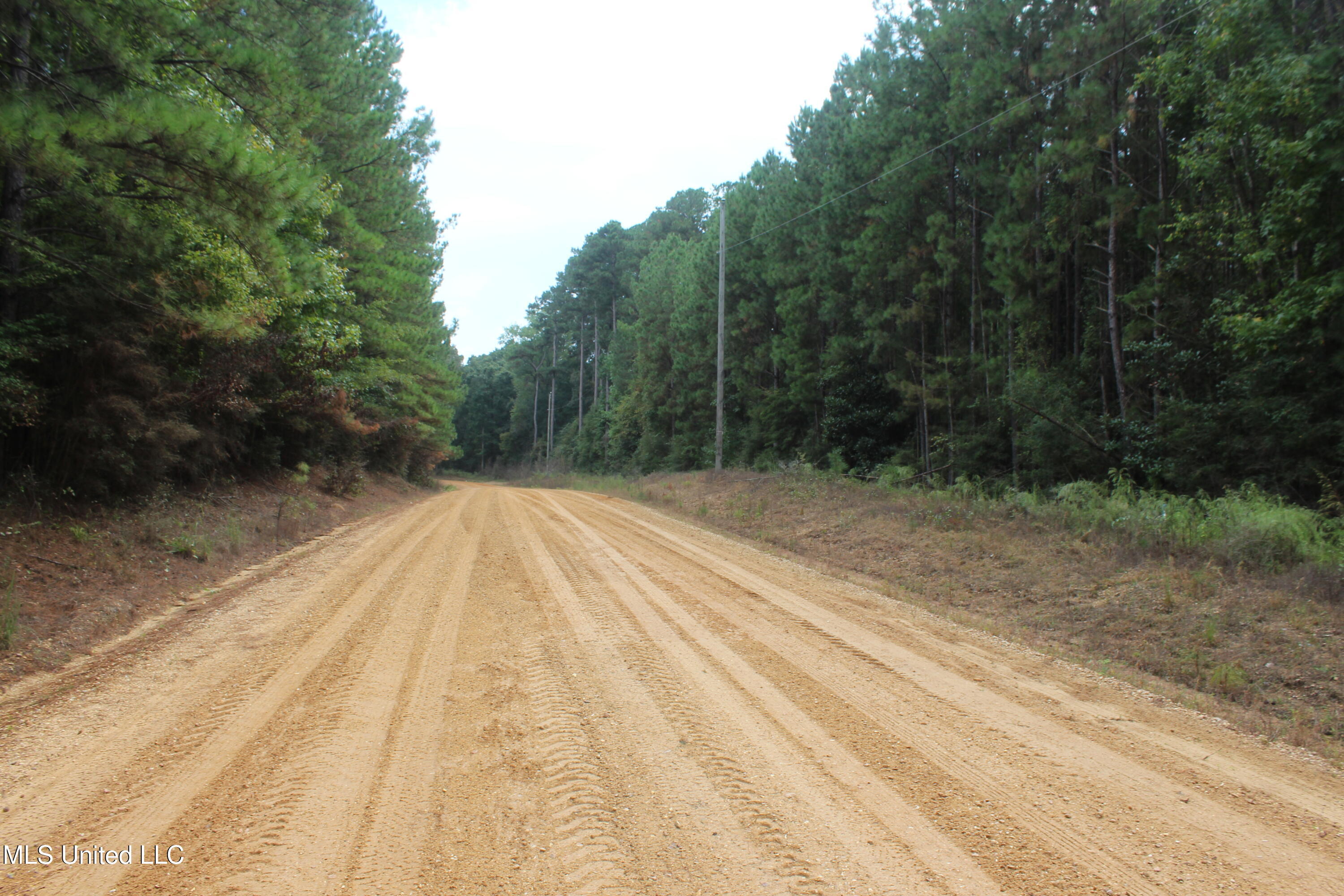Tbd Fox Road Property Photo 7