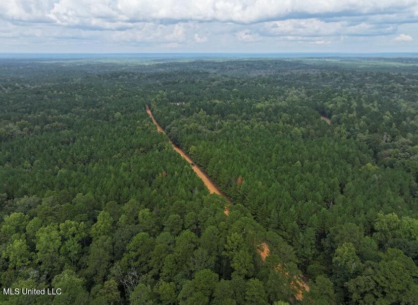 Tbd Fox Road Property Photo 11