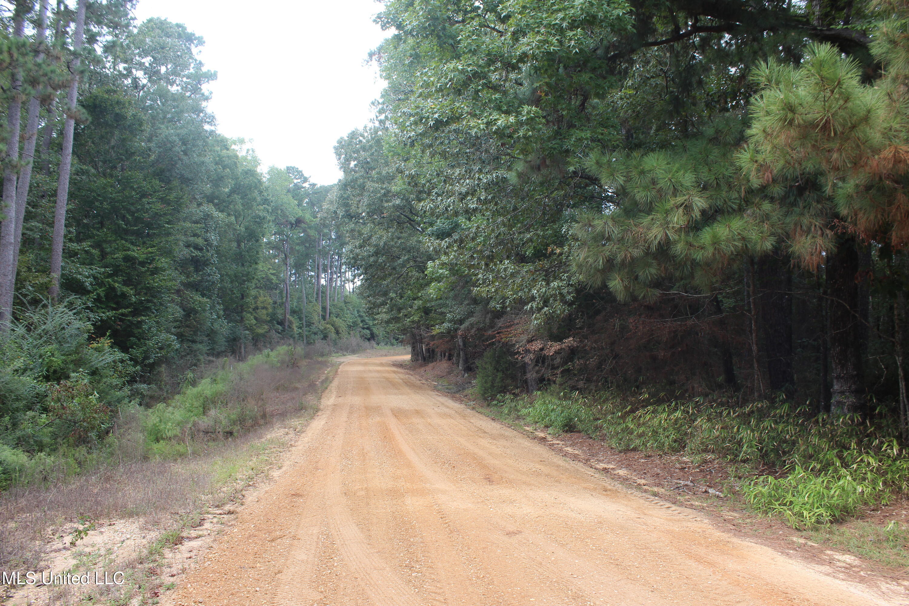 Tbd Fox Road Property Photo 11
