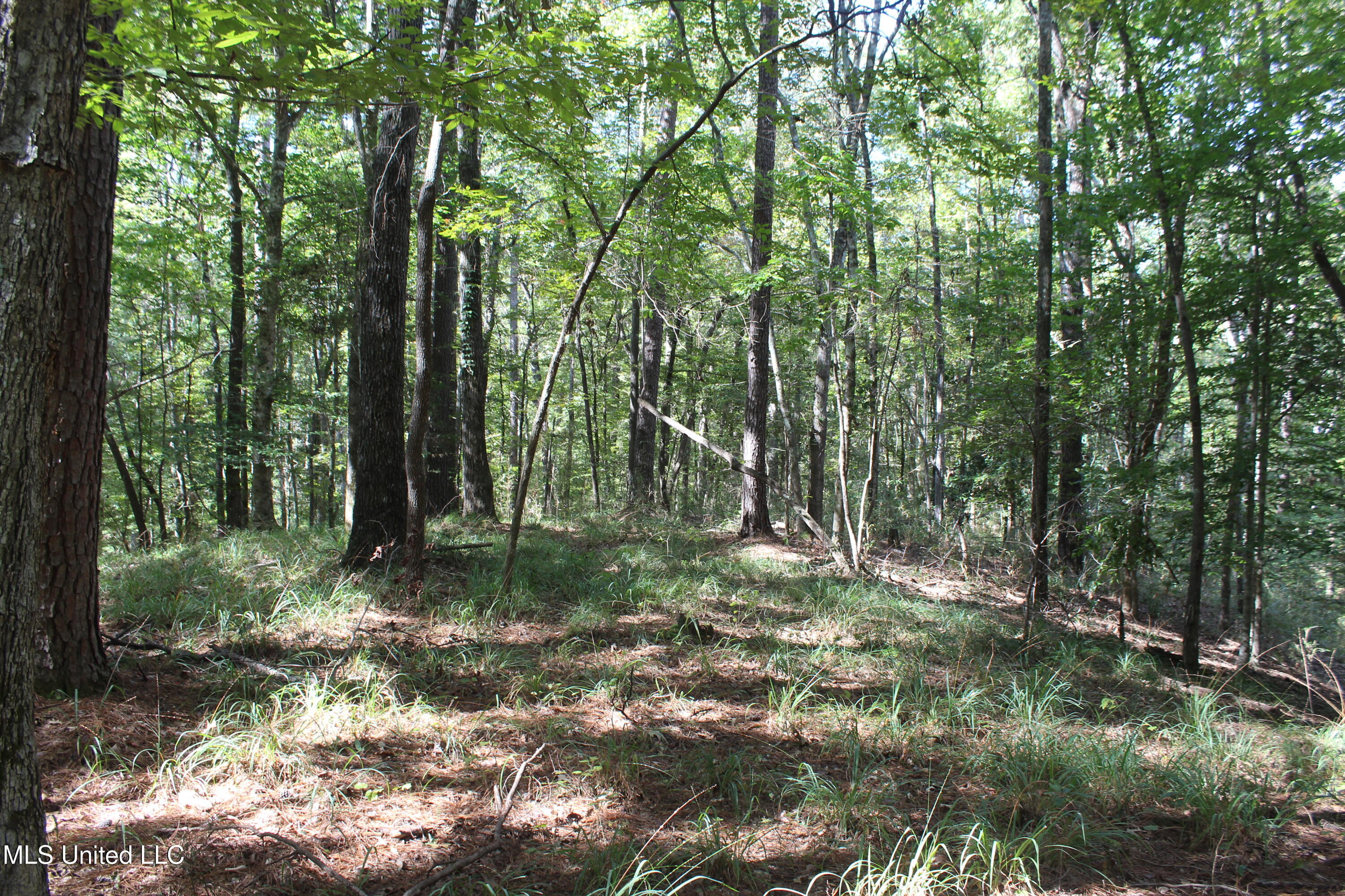 Tbd Fox Road Property Photo 14