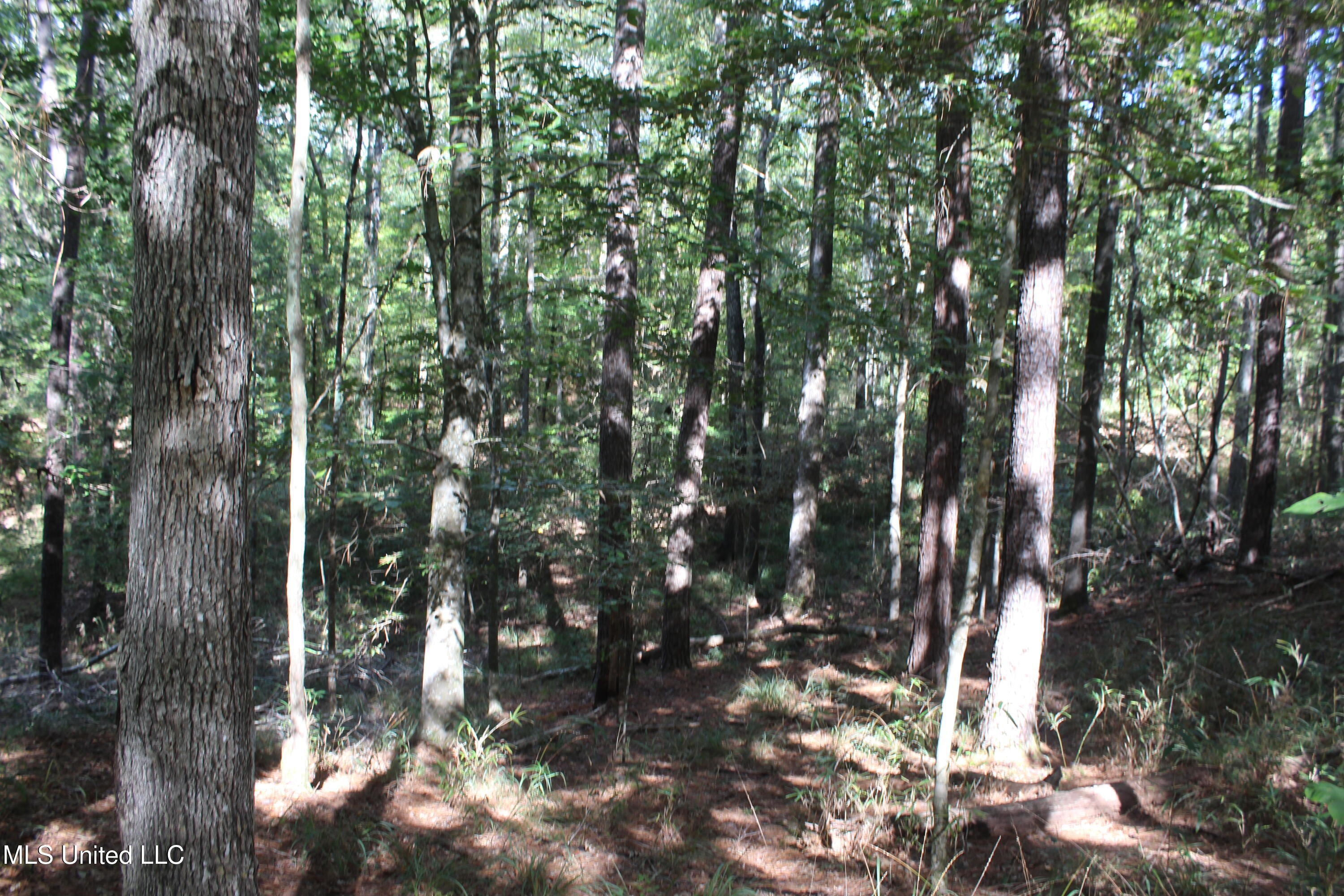 Tbd Fox Road Property Photo 15