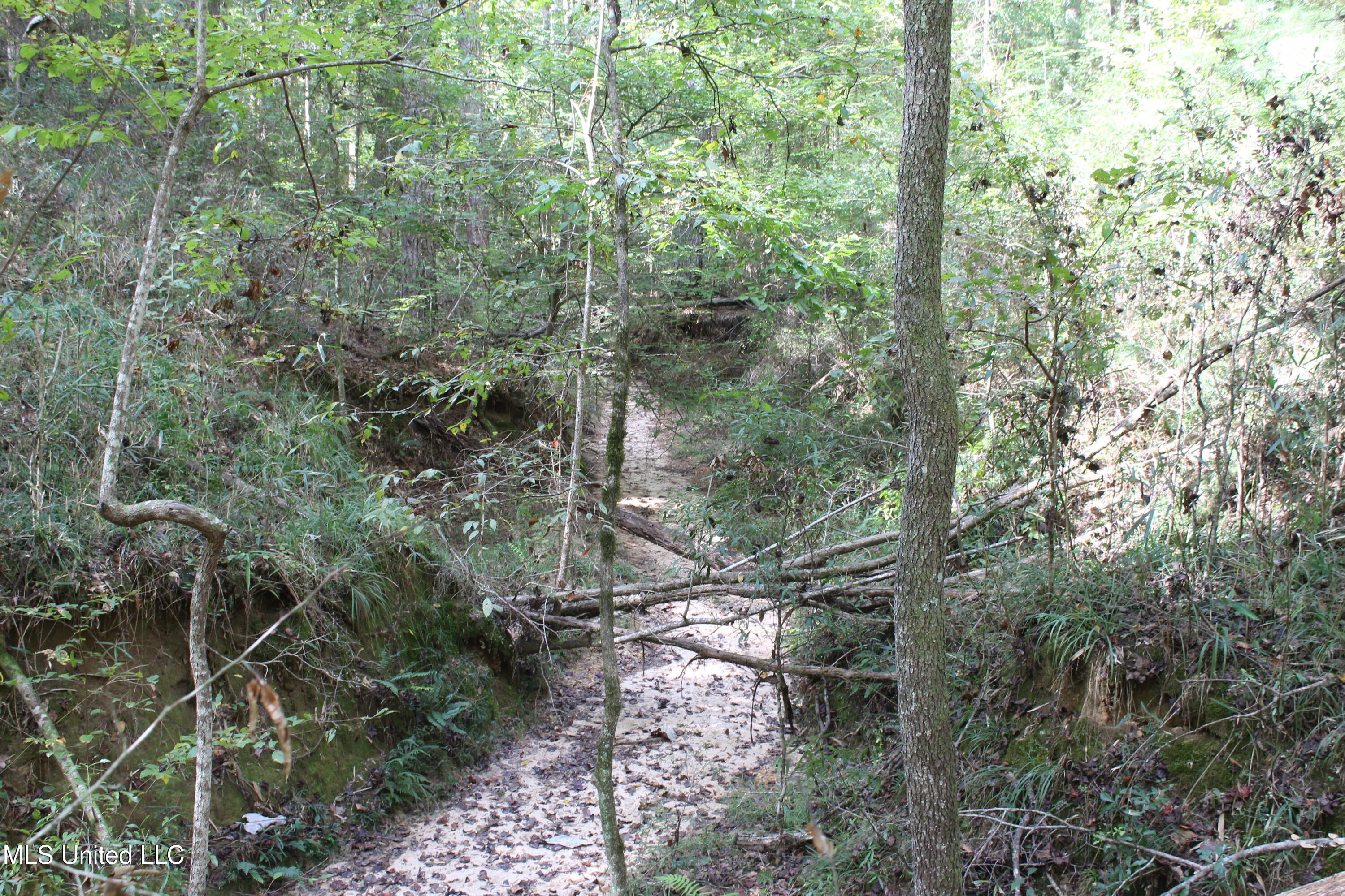 Tbd Fox Road Property Photo 16