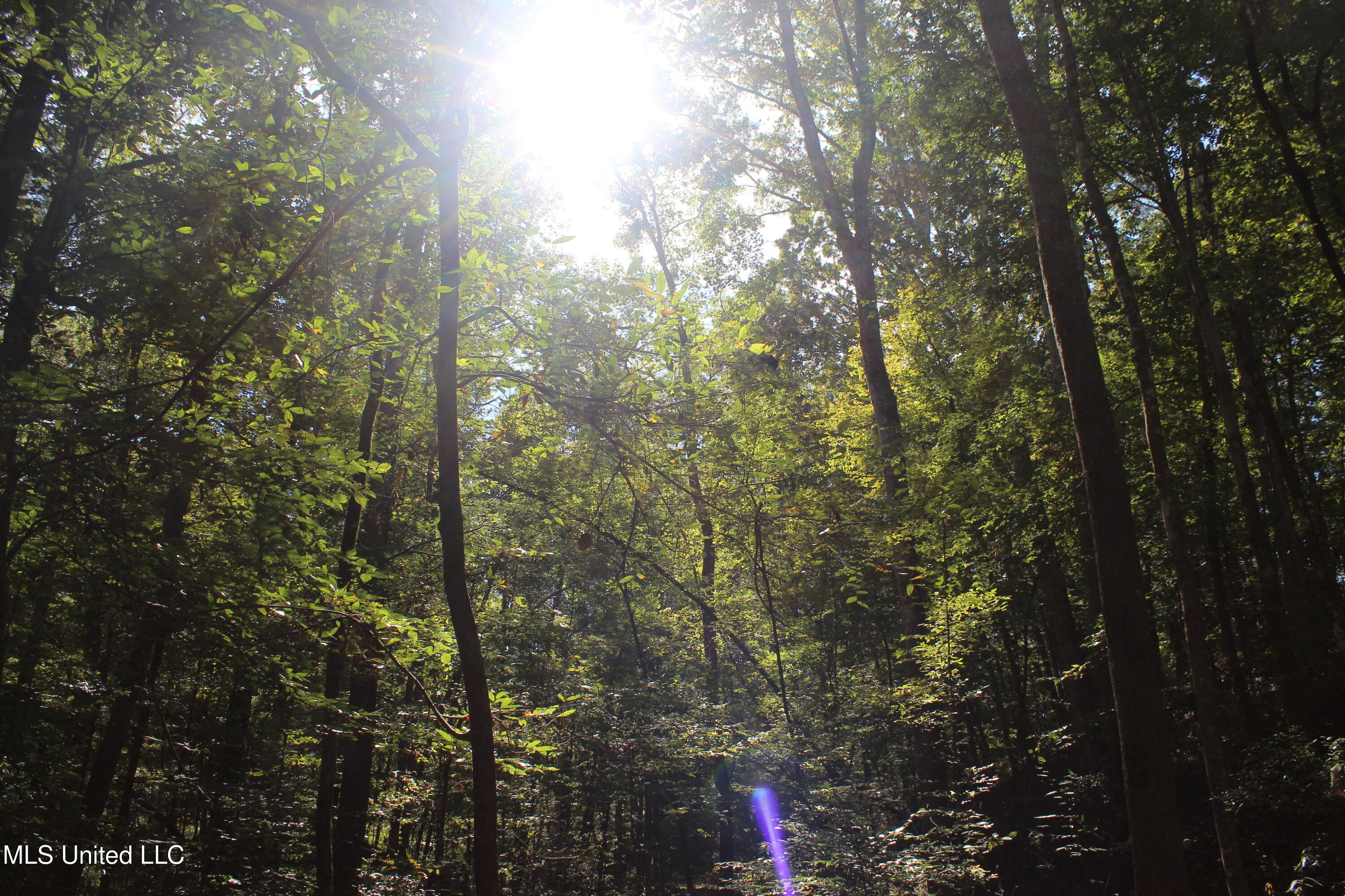 Tbd Fox Road Property Photo 17