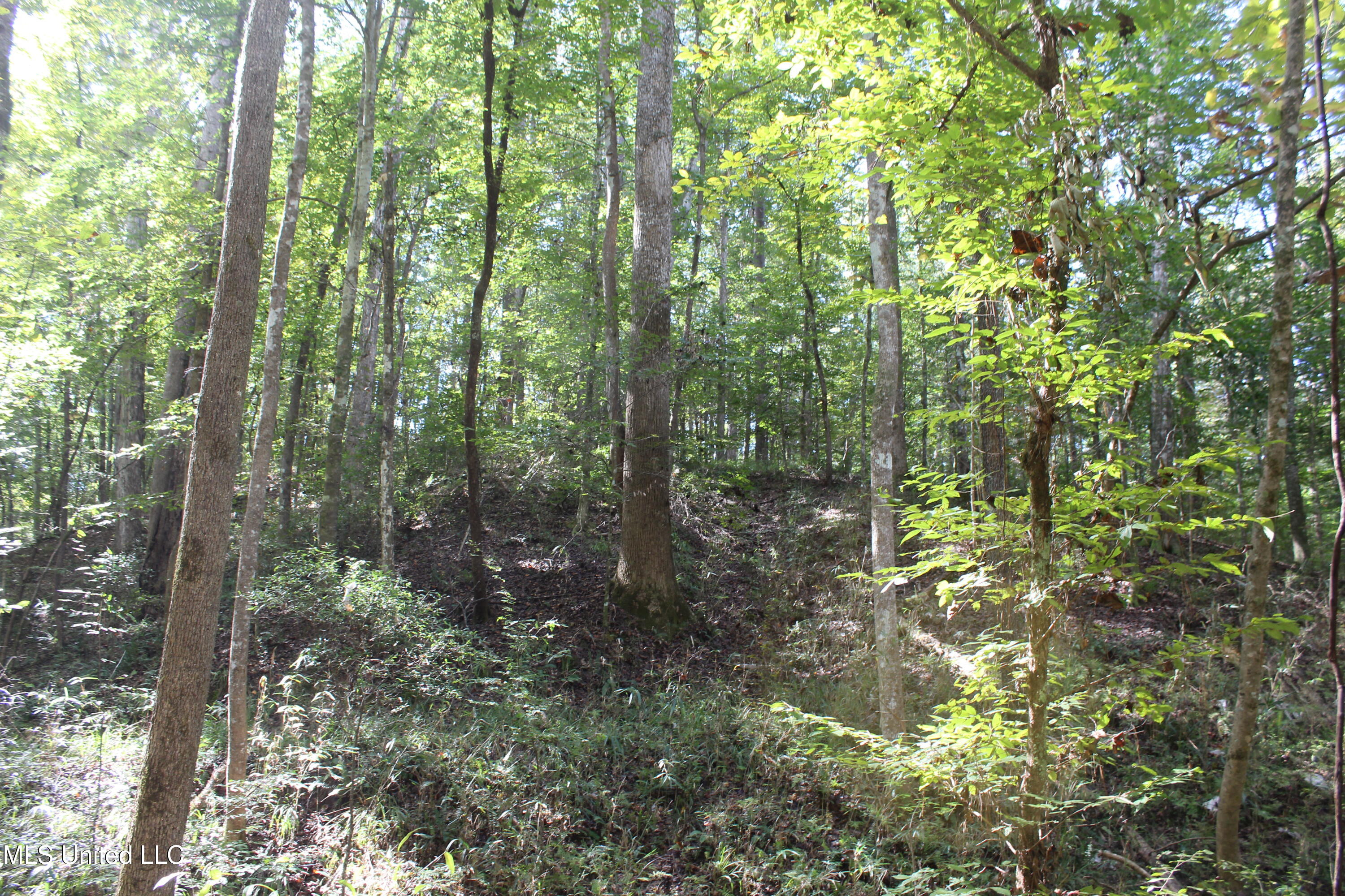 Tbd Fox Road Property Photo 18