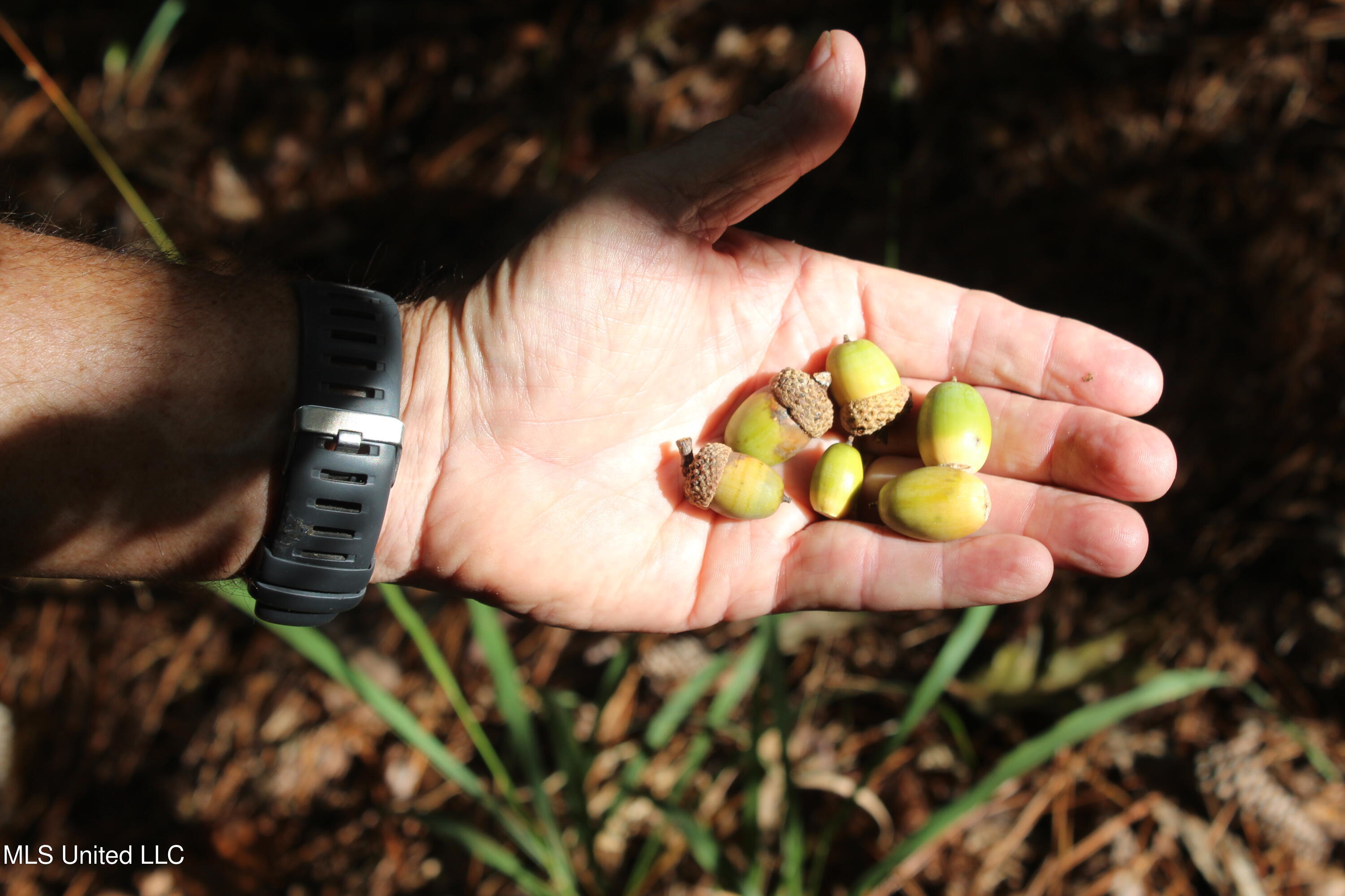 Tbd Fox Road Property Photo 19