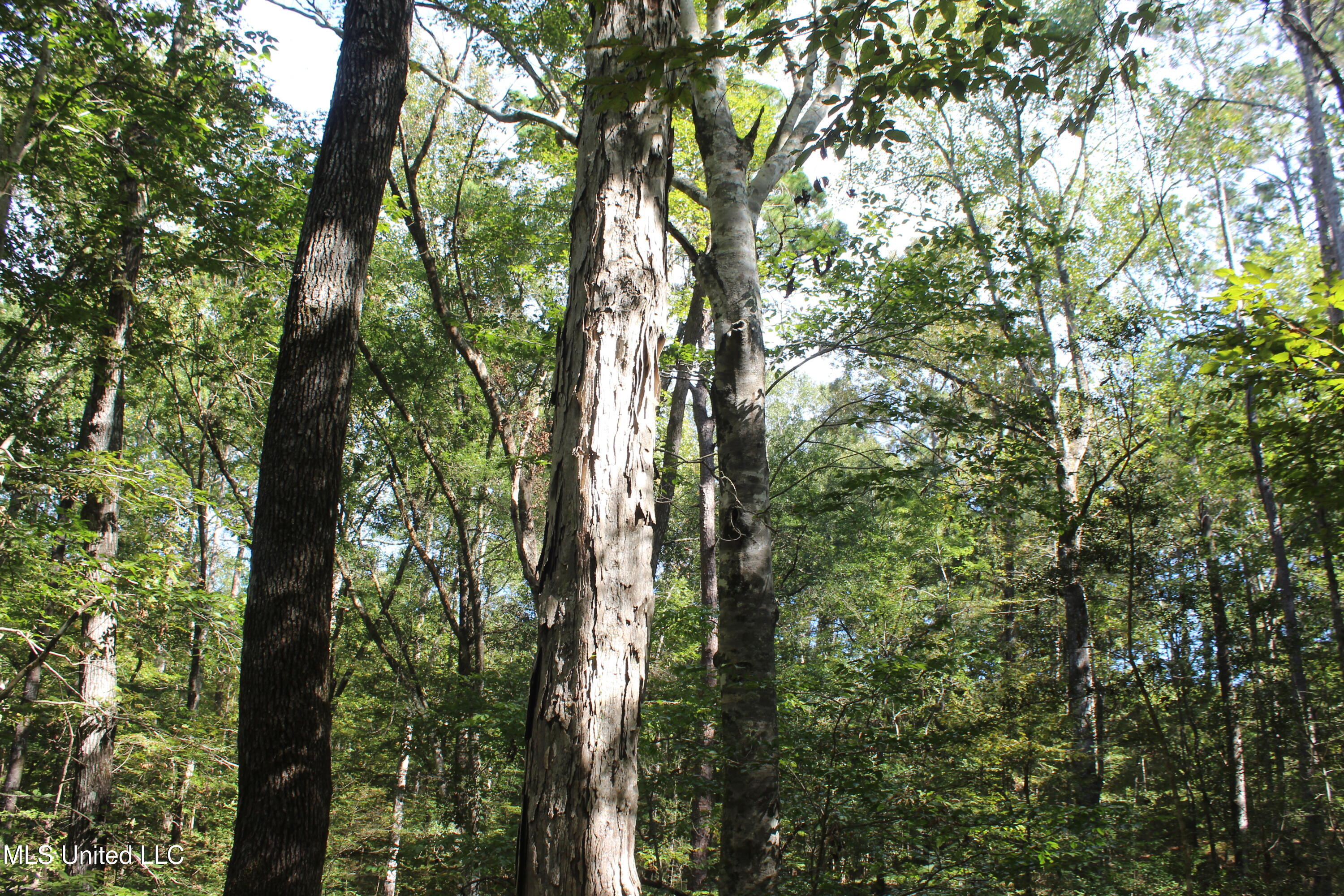 Tbd Fox Road Property Photo 20