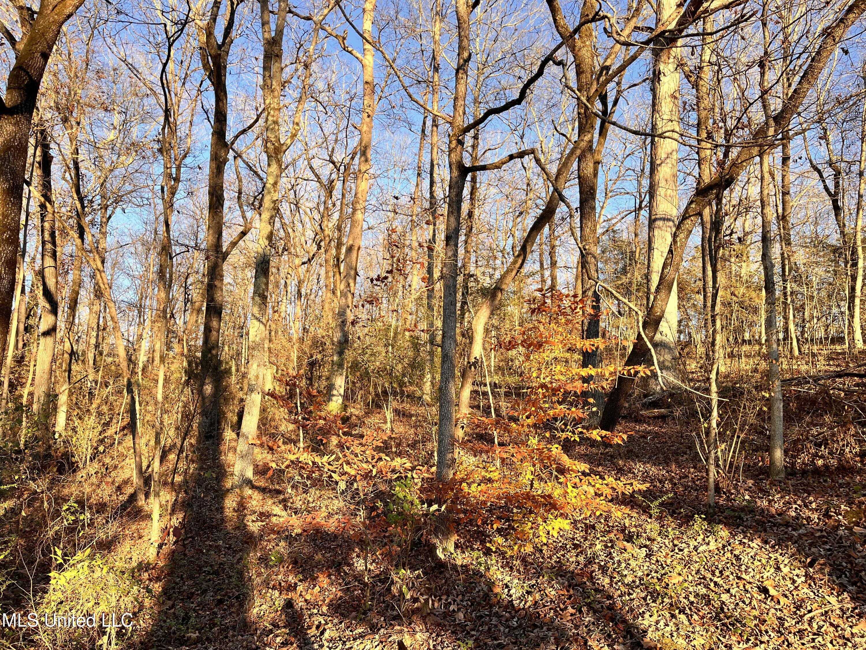 0 Snow Lake Drive Property Photo 1