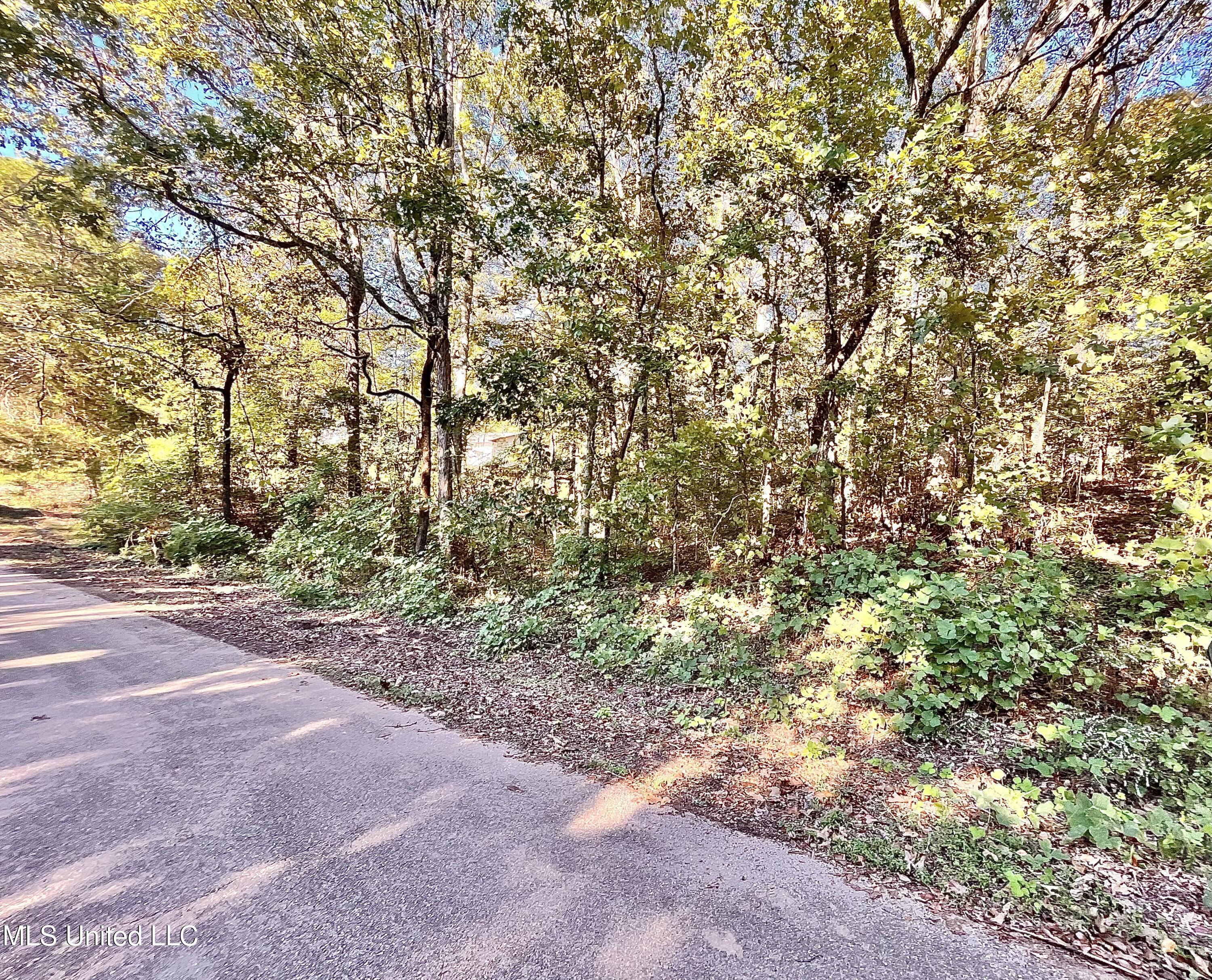 0 Snow Lake Drive Property Photo 2