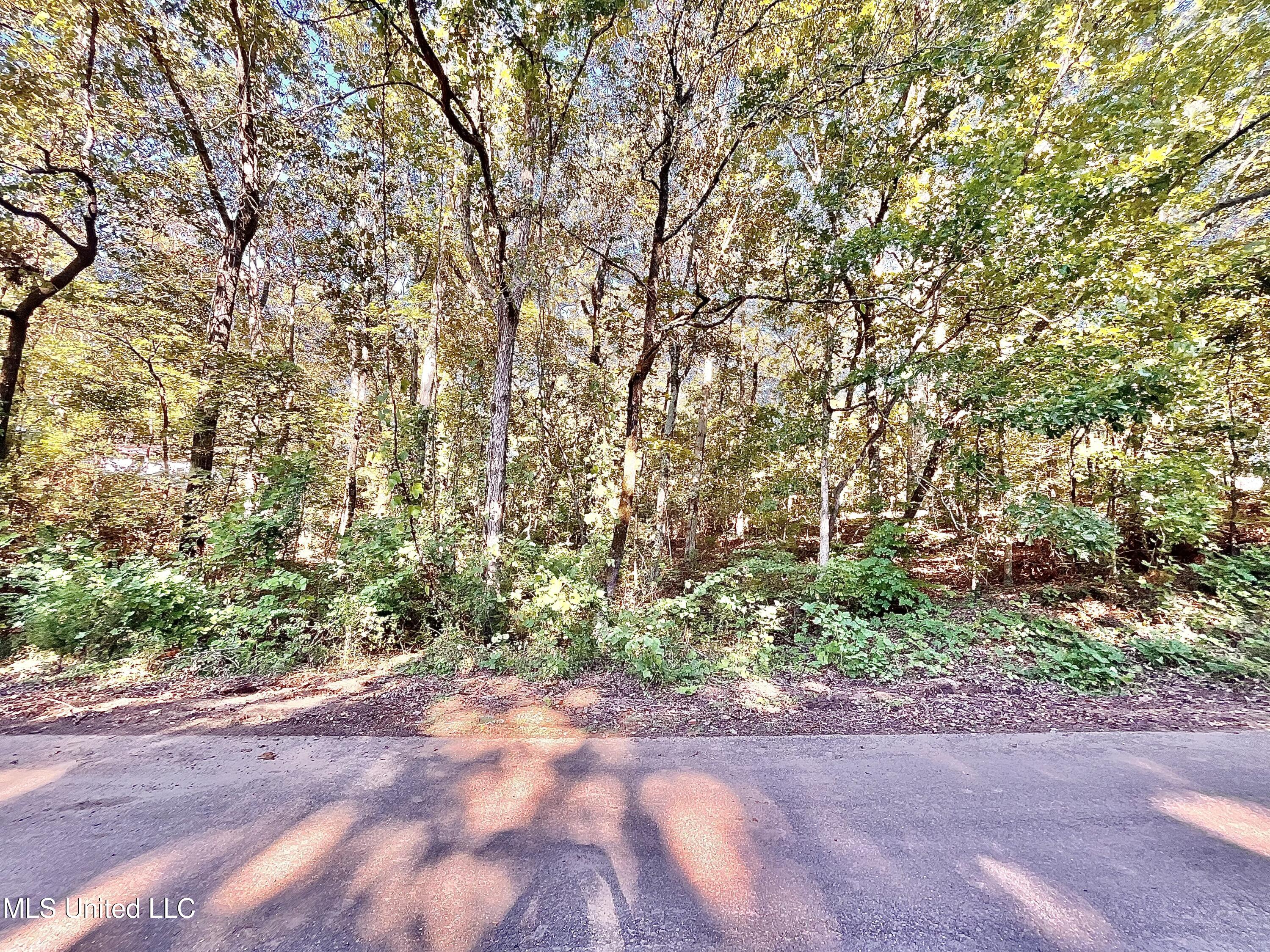 0 Snow Lake Drive Property Photo 3