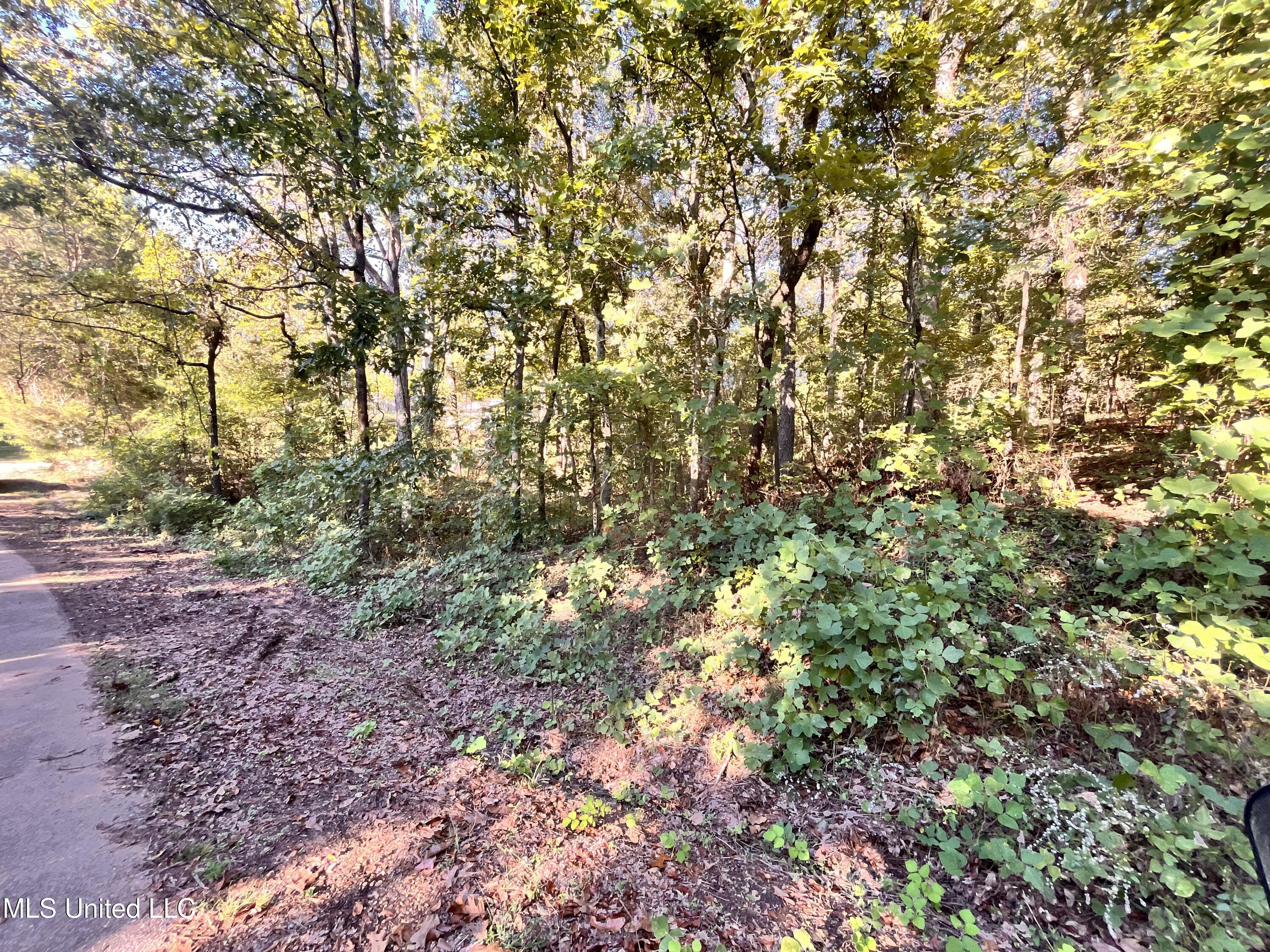 0 Snow Lake Drive Property Photo 4