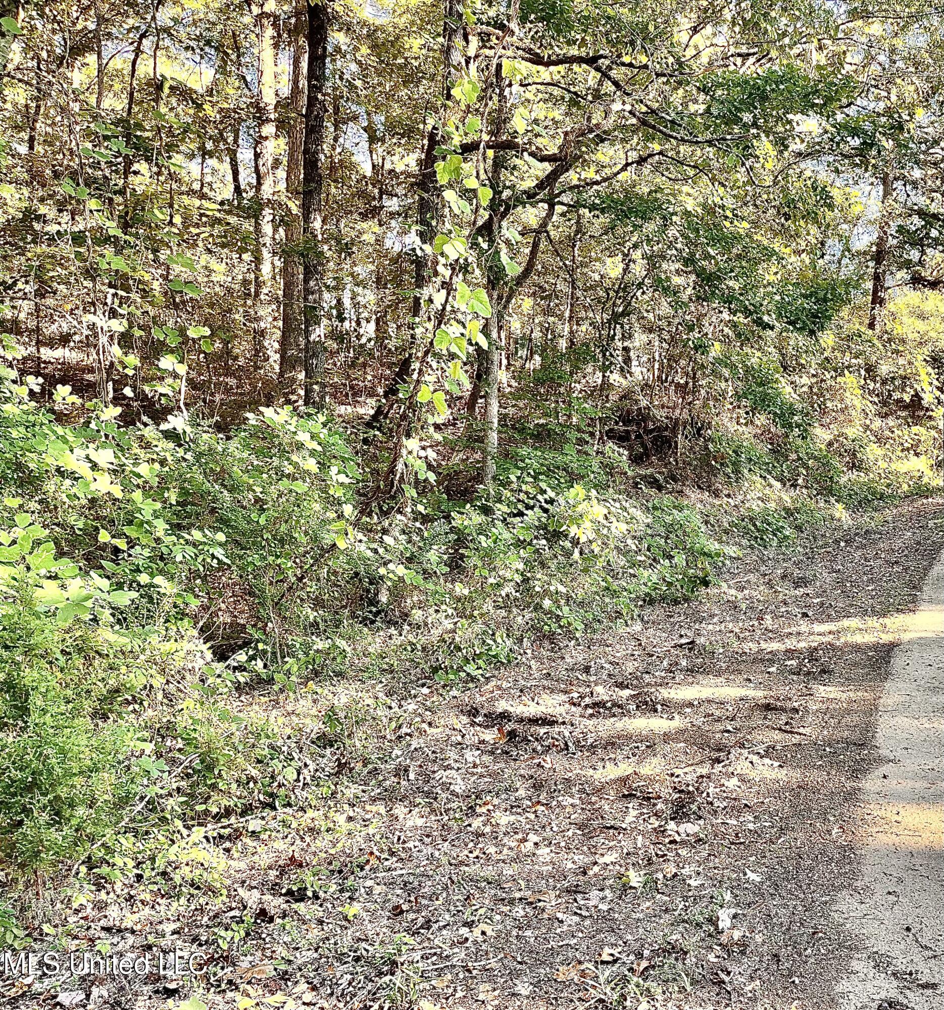 0 Snow Lake Drive Property Photo 5