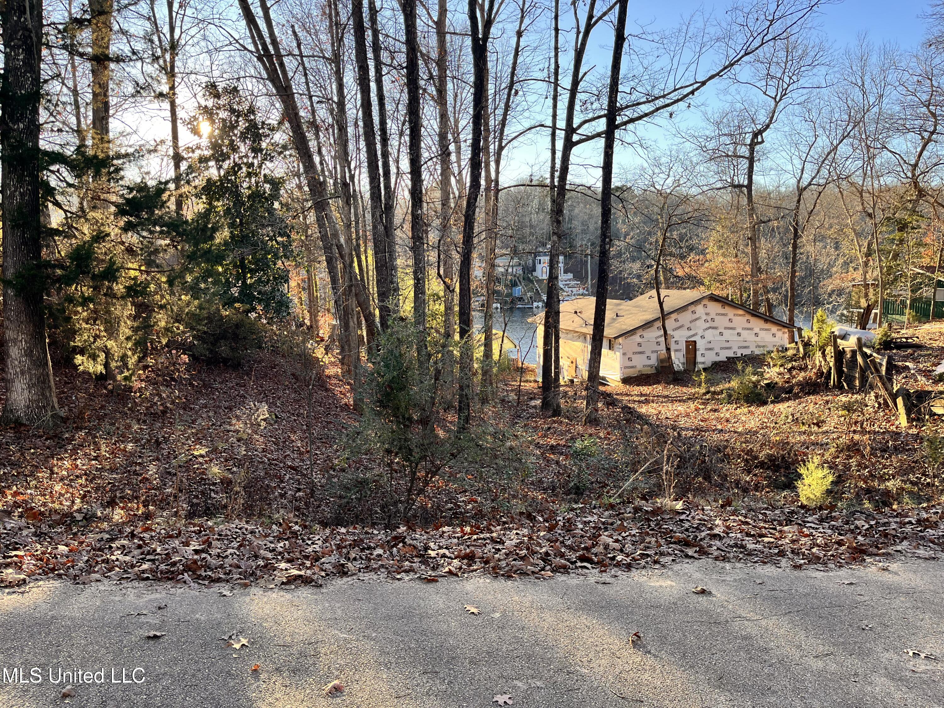 0 Snow Lake Drive Property Photo 6