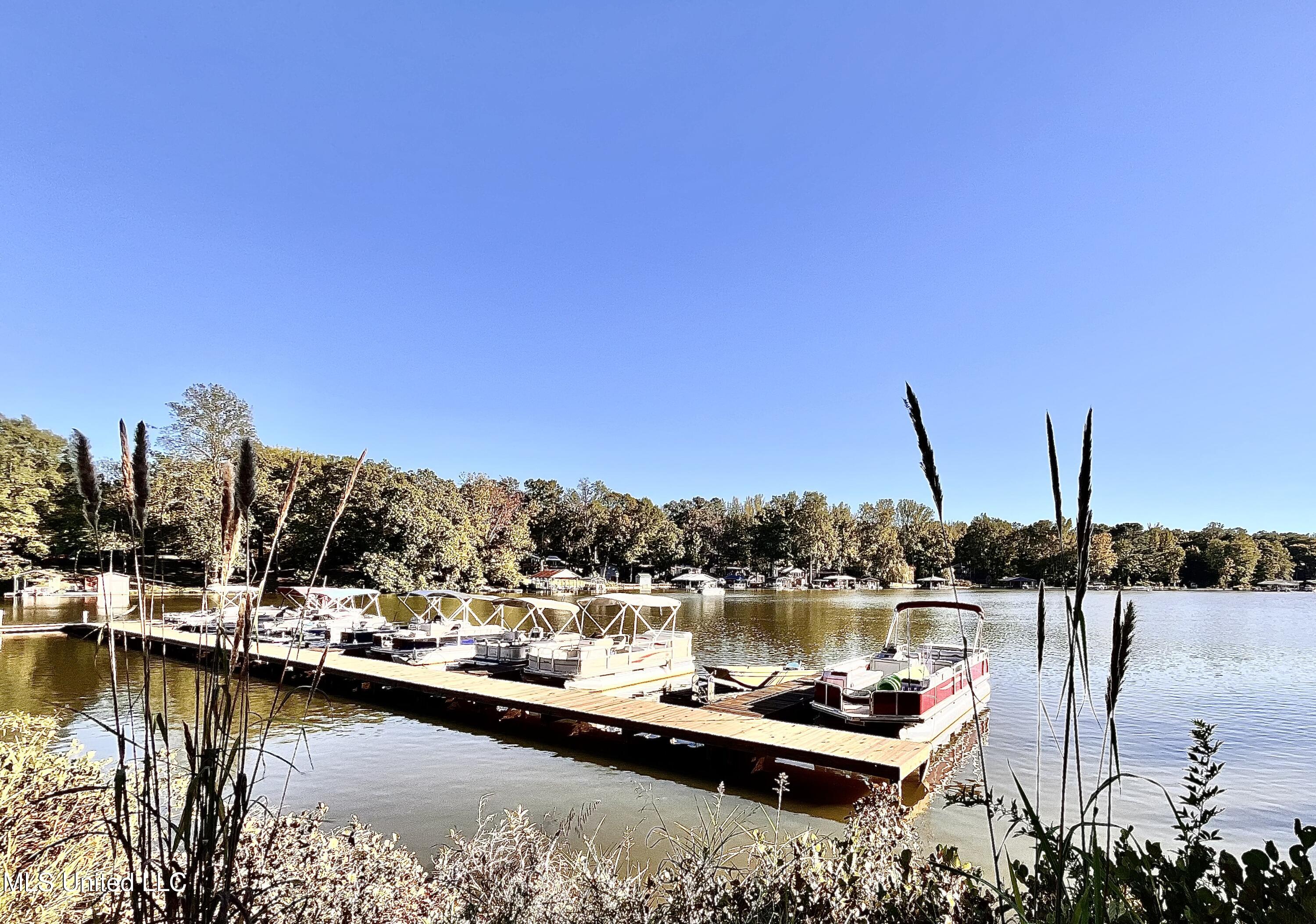 0 Snow Lake Drive Property Photo 7