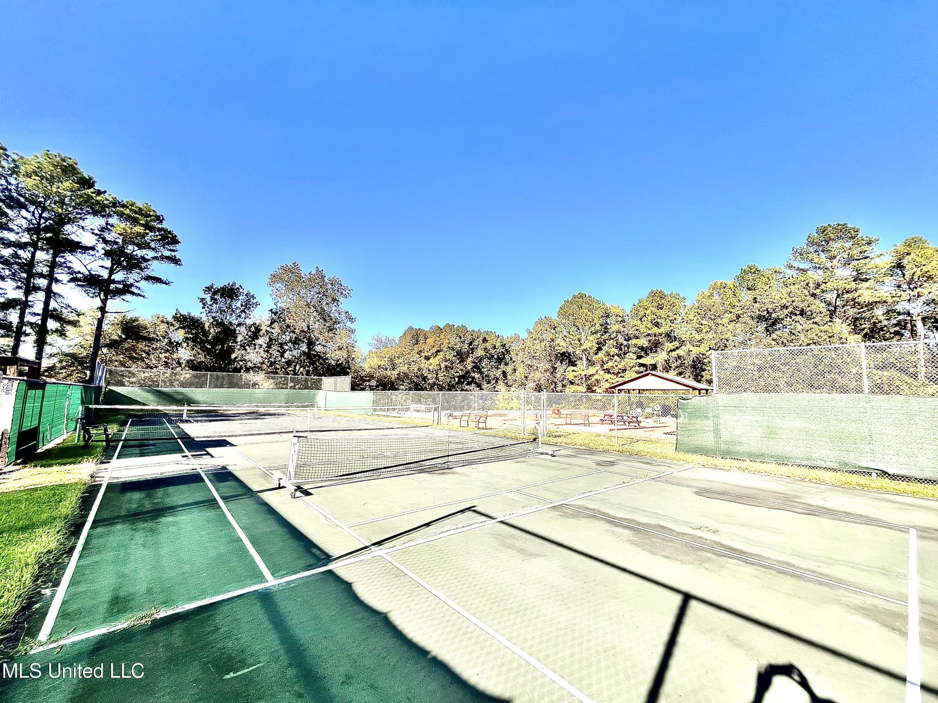 0 Snow Lake Drive Property Photo 10